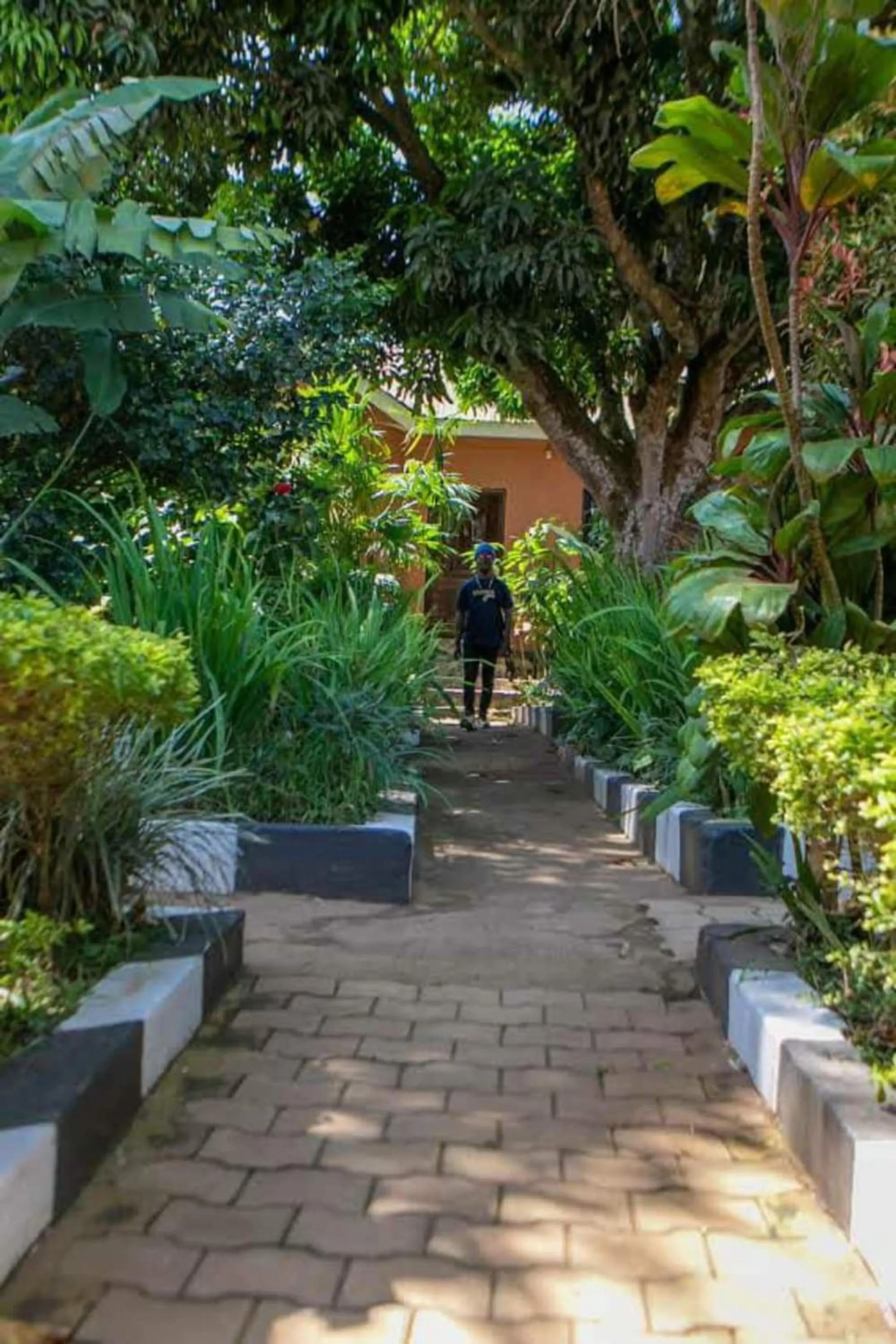 Property building in Gorilla African Guest House