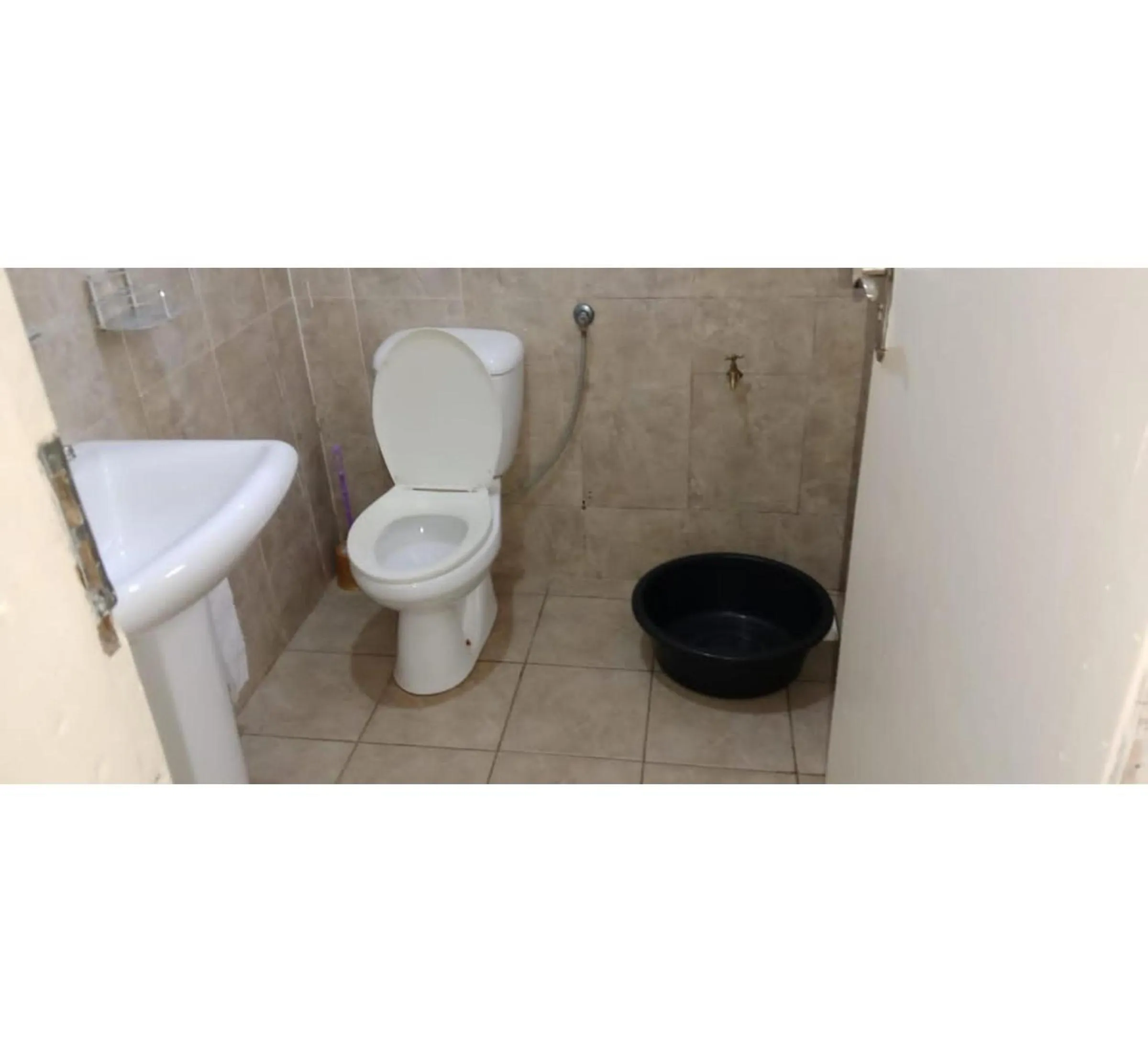 Shower in Gorilla African Guest House