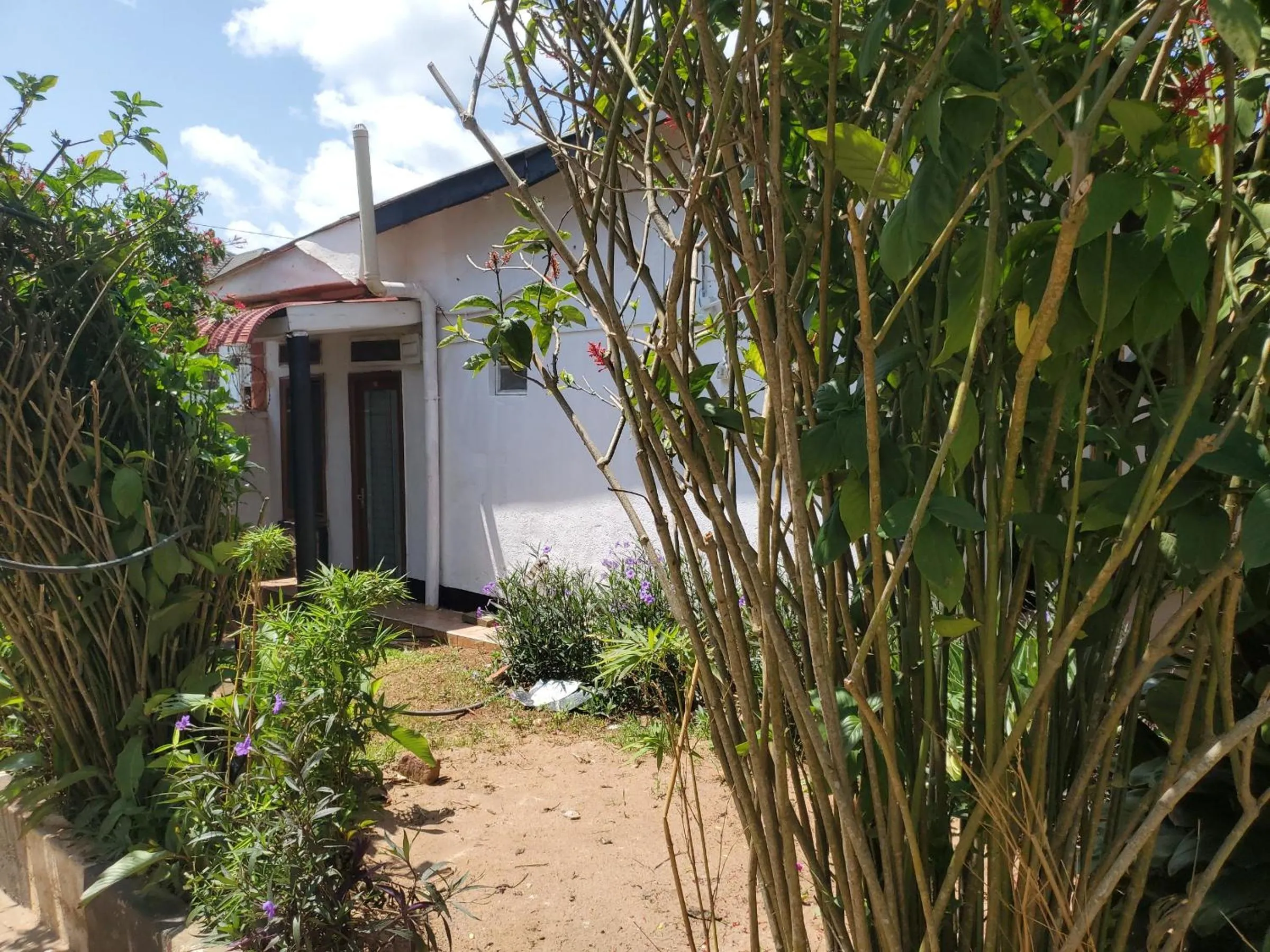 Property building in Gorilla African Guest House