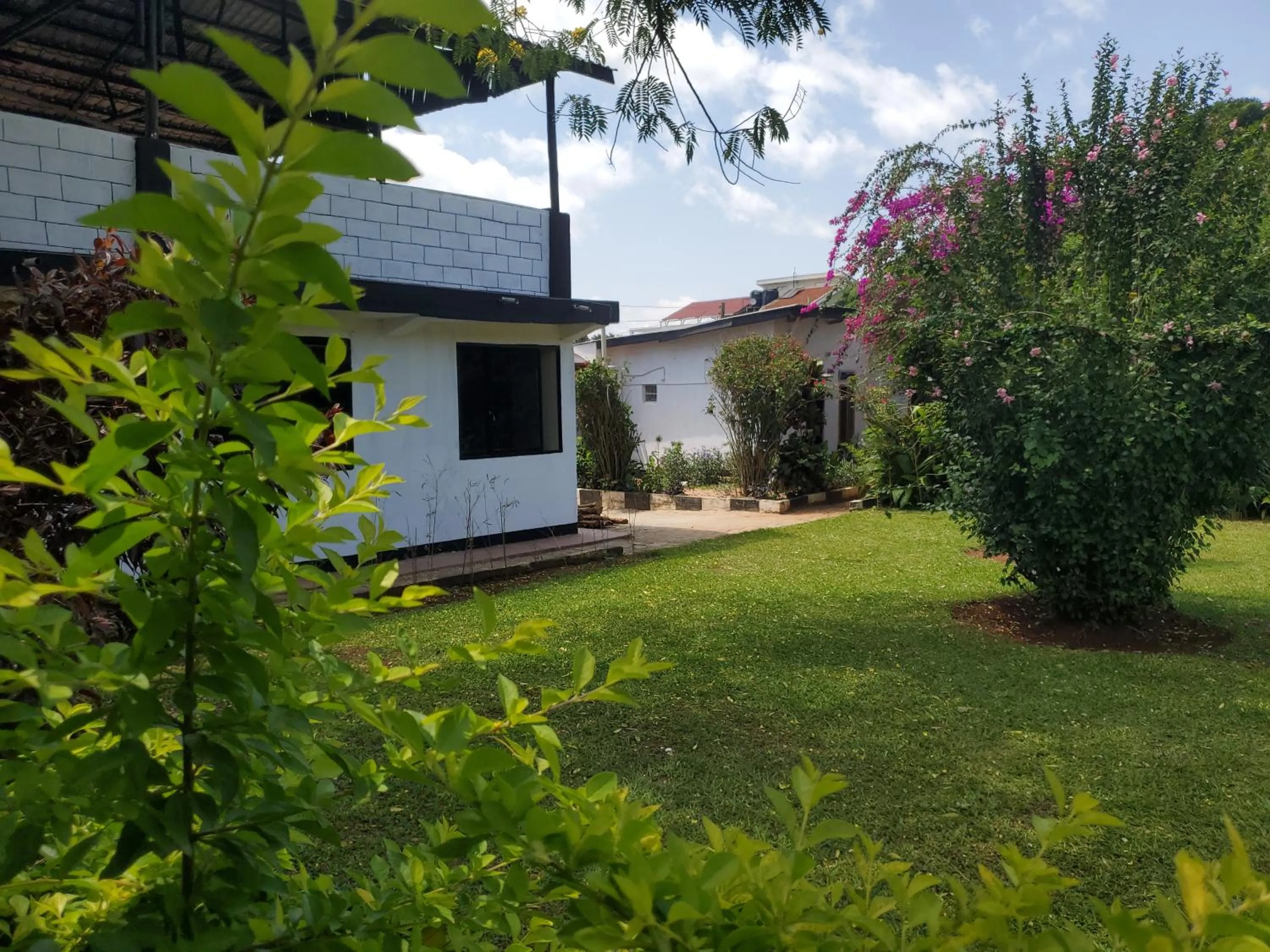 Property building in Gorilla African Guest House