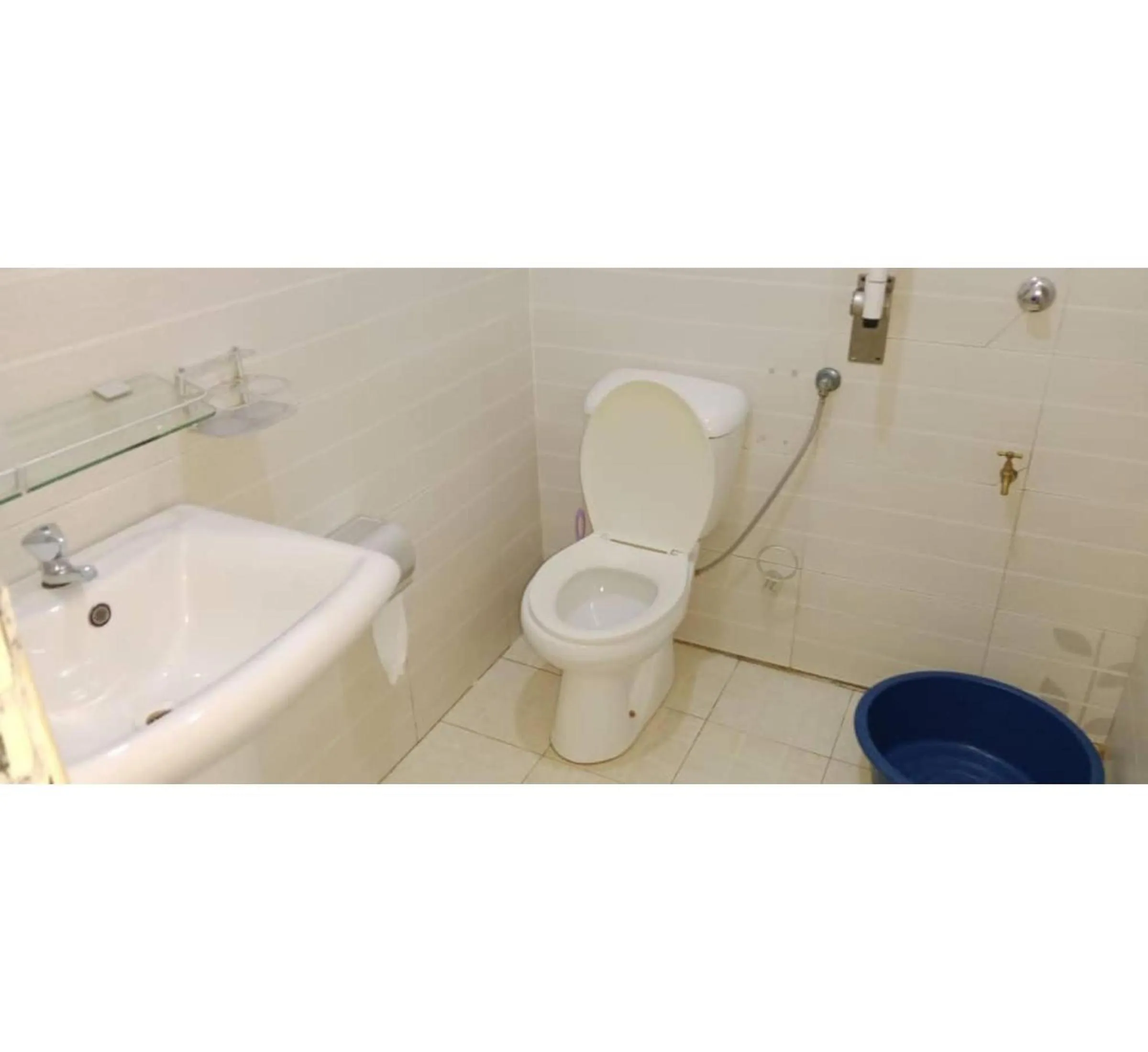 Bathroom in Gorilla African Guest House