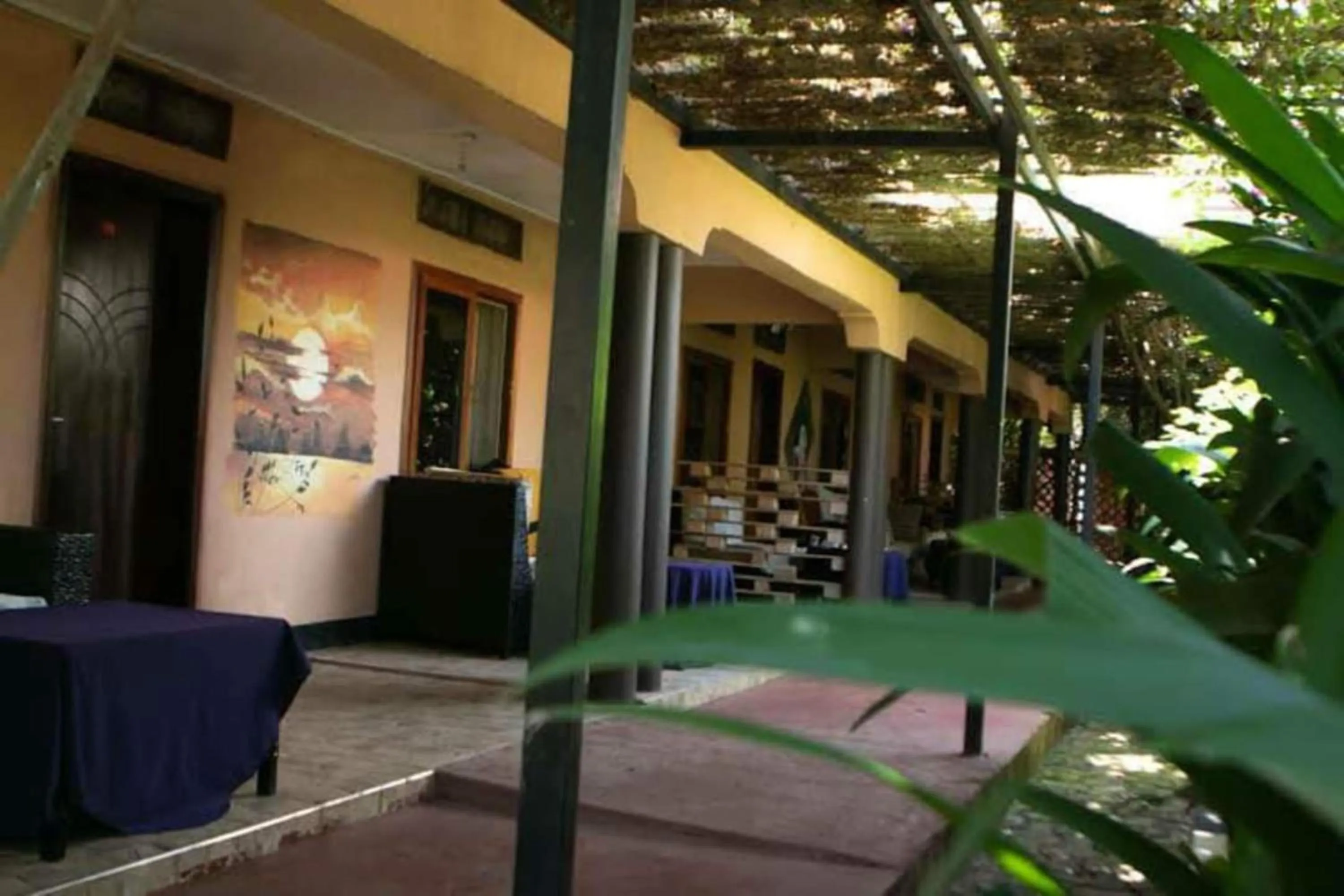 Property building in Gorilla African Guest House