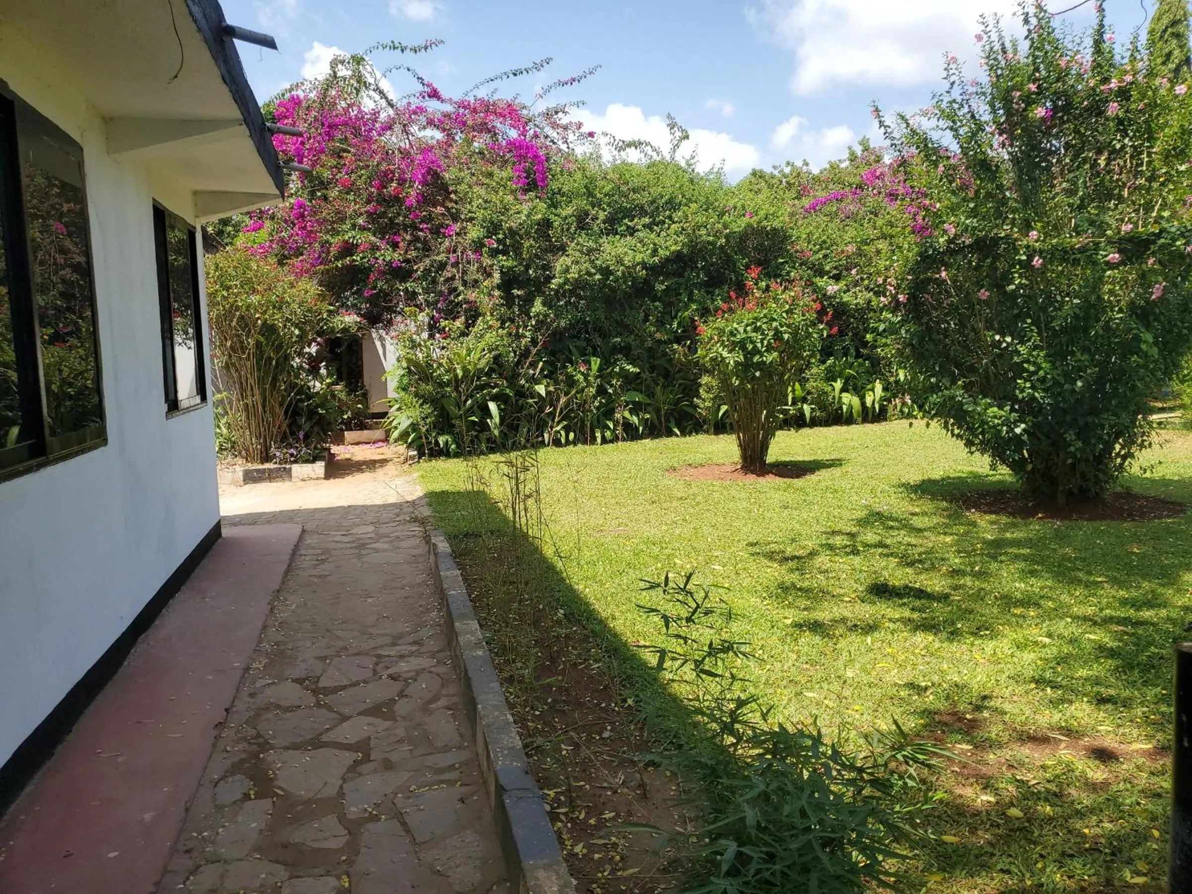 Property building in Gorilla African Guest House