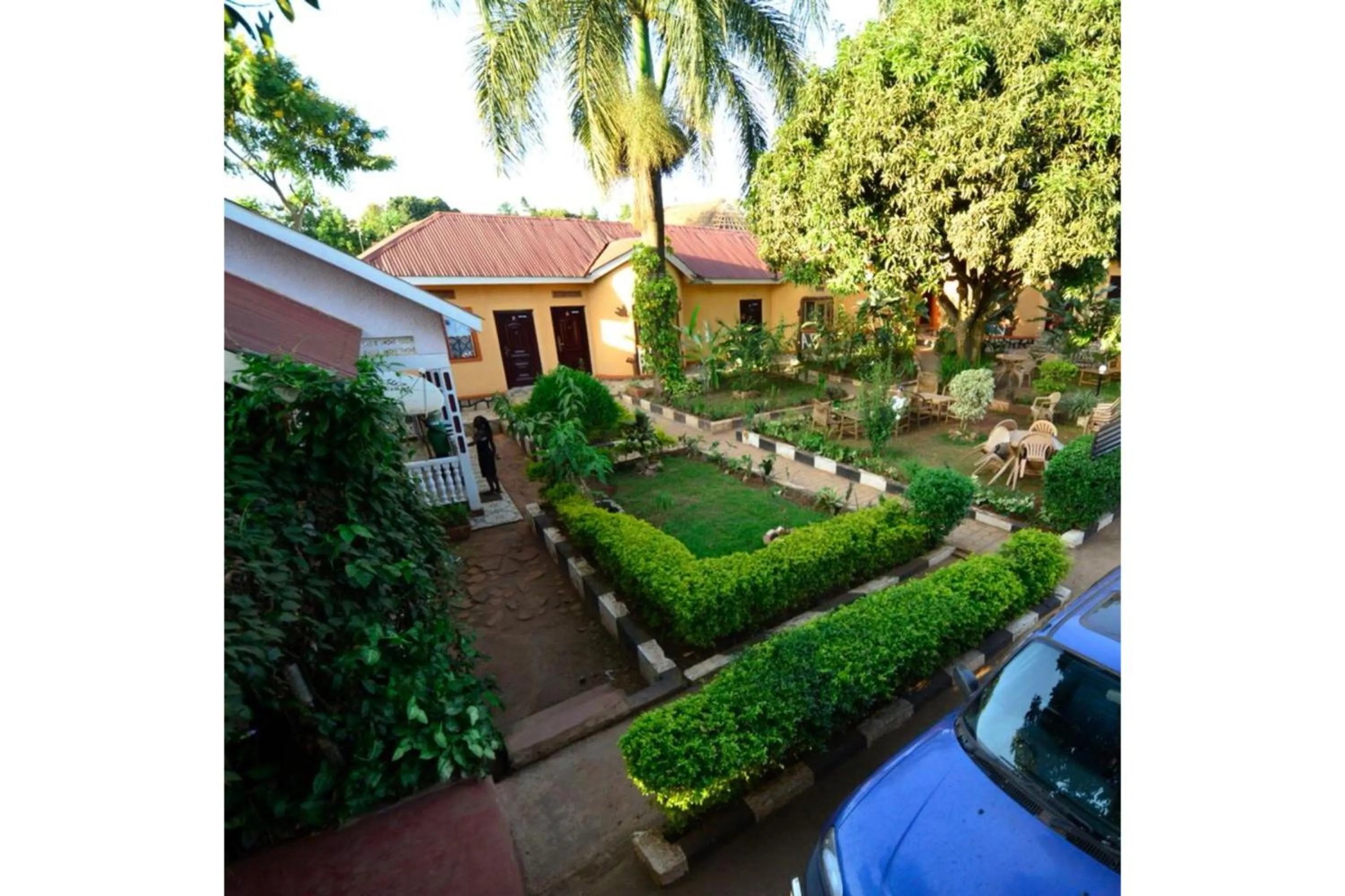 Bird's eye view in Gorilla African Guest House