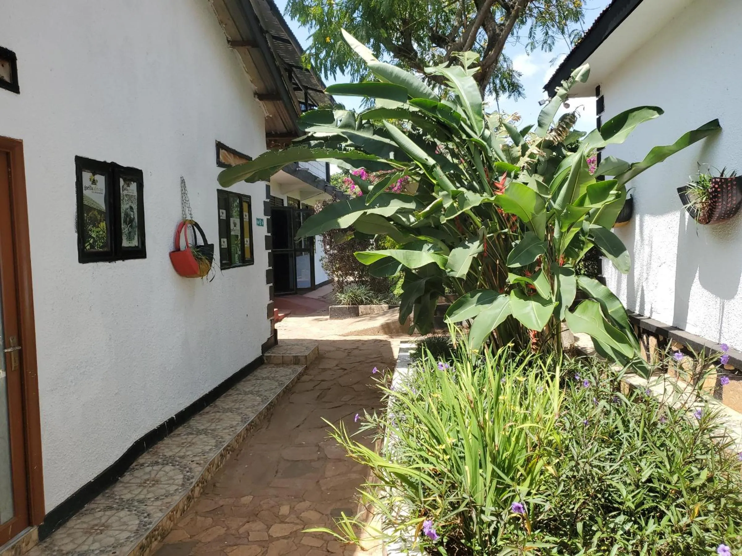 Property building in Gorilla African Guest House