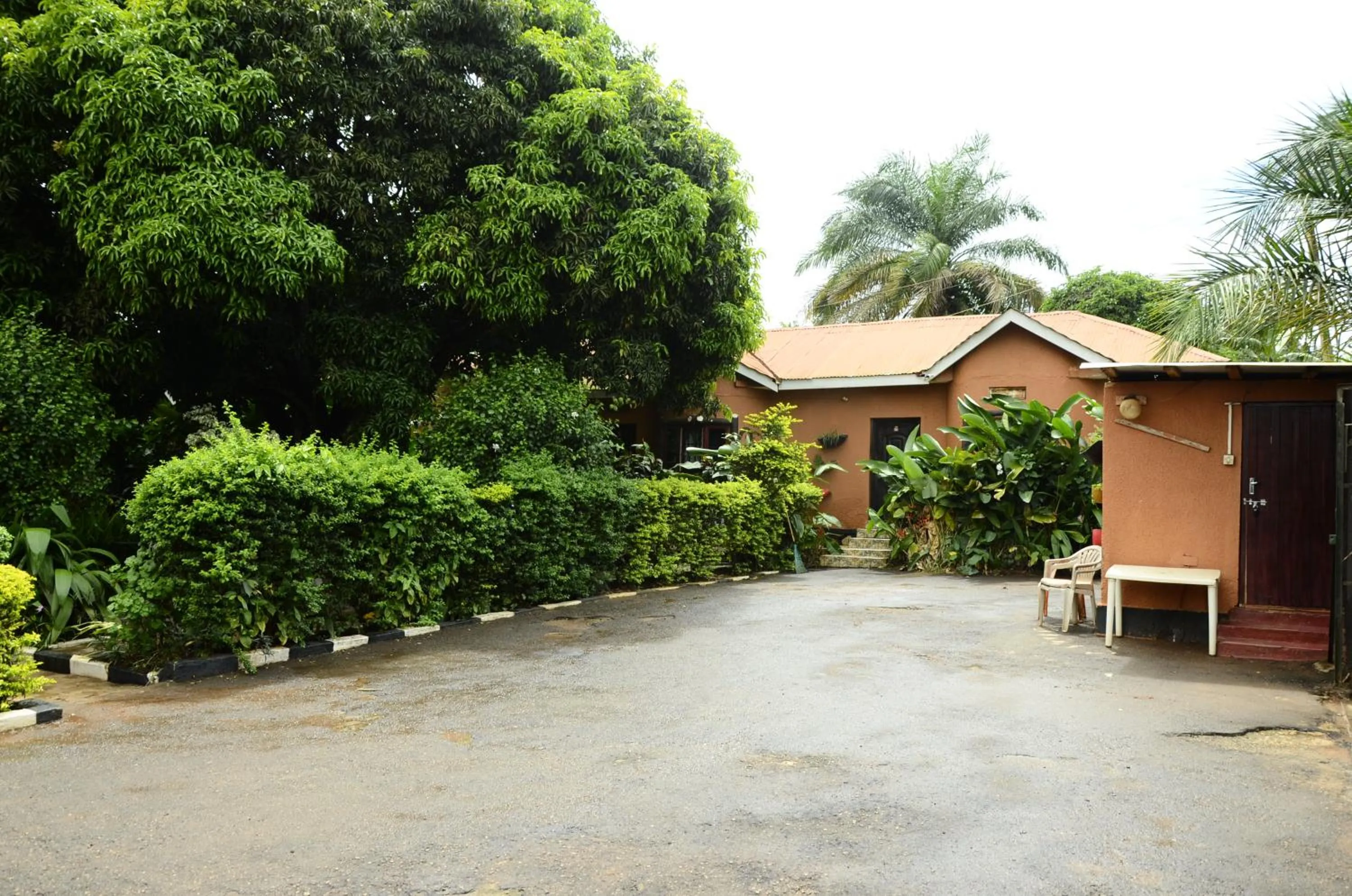 Property building in Gorilla African Guest House