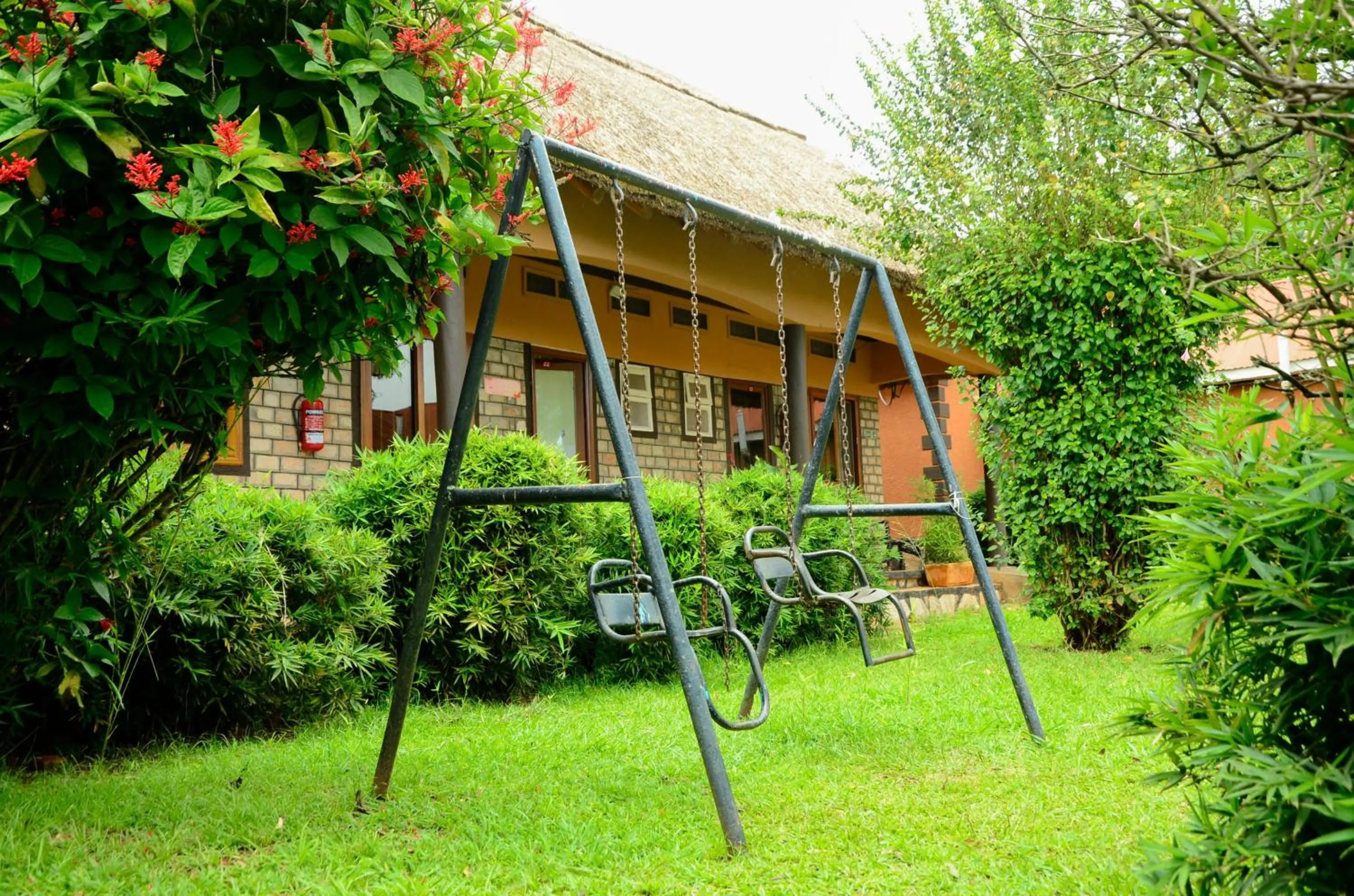 Property building in Gorilla African Guest House