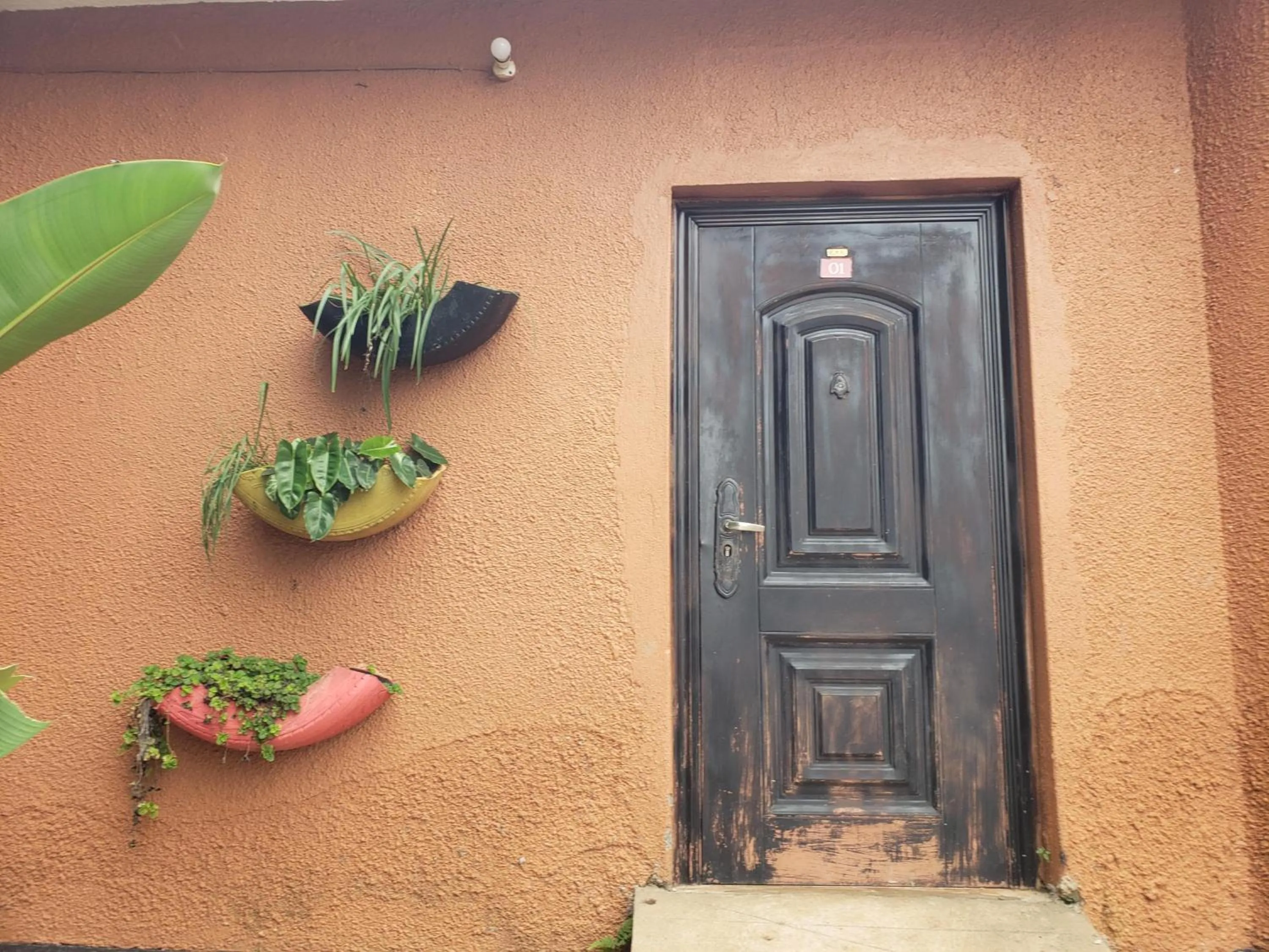 Property building in Gorilla African Guest House