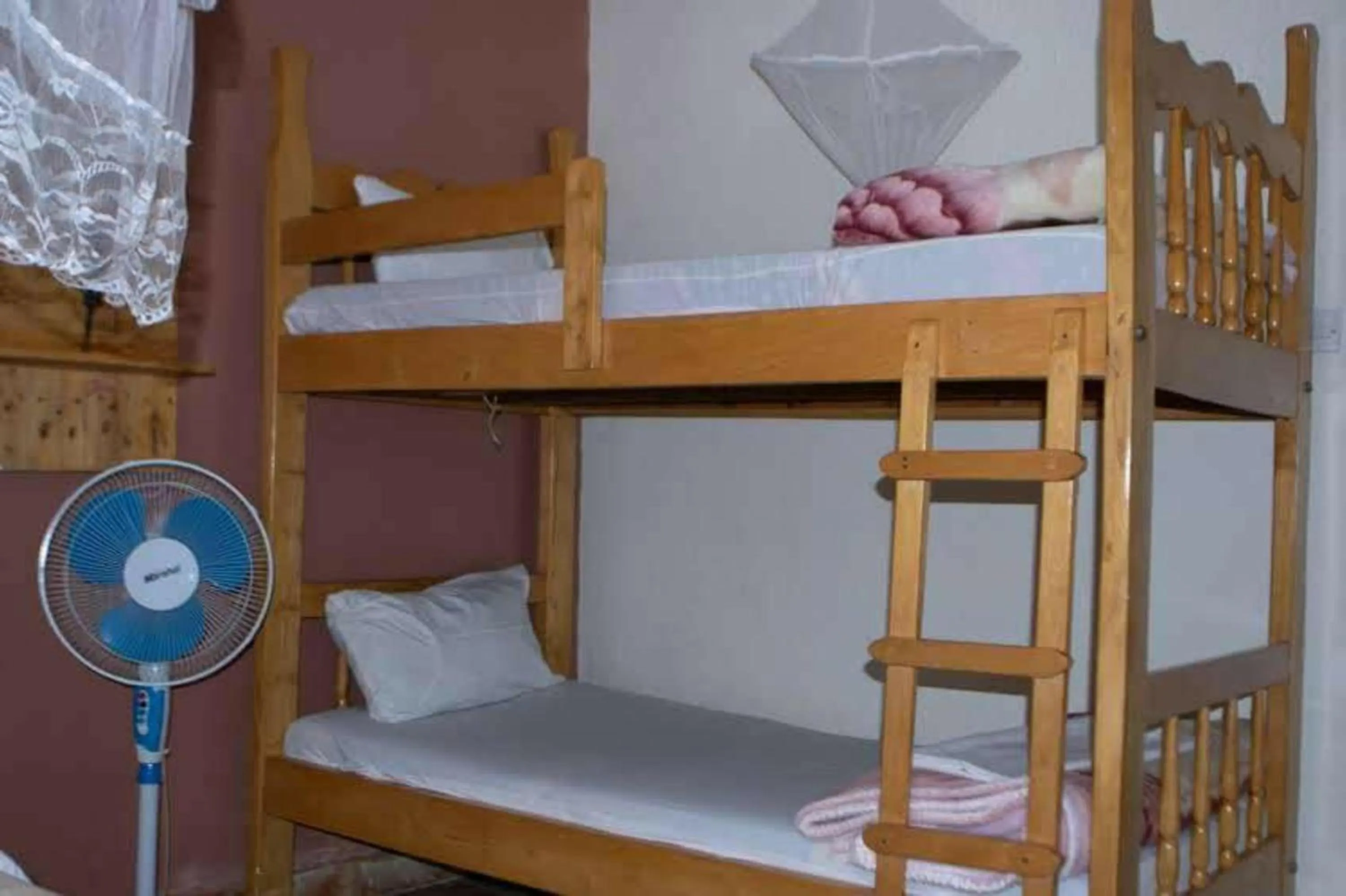 Bed in Gorilla African Guest House