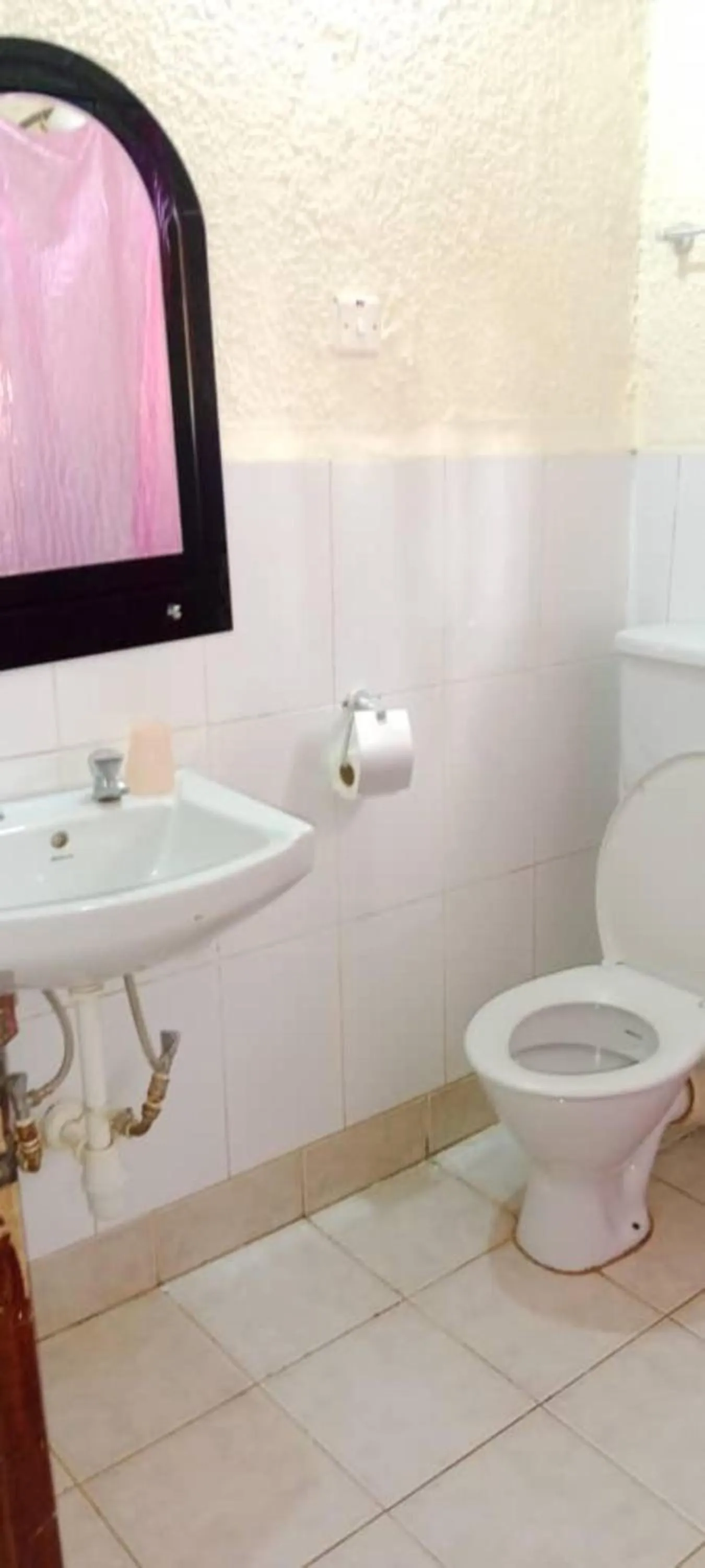 Toilet in Gorilla African Guest House