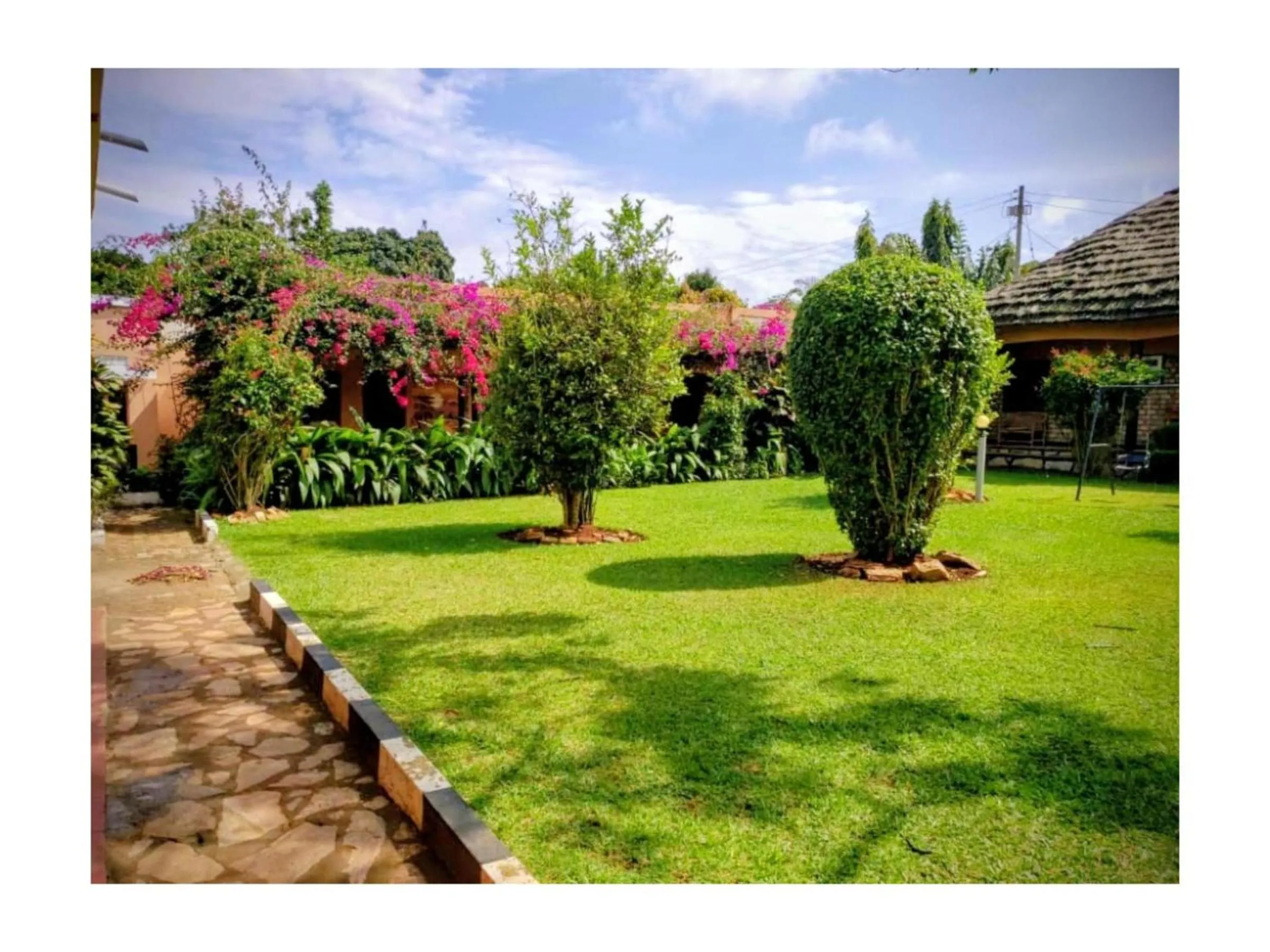 Spring in Gorilla African Guest House