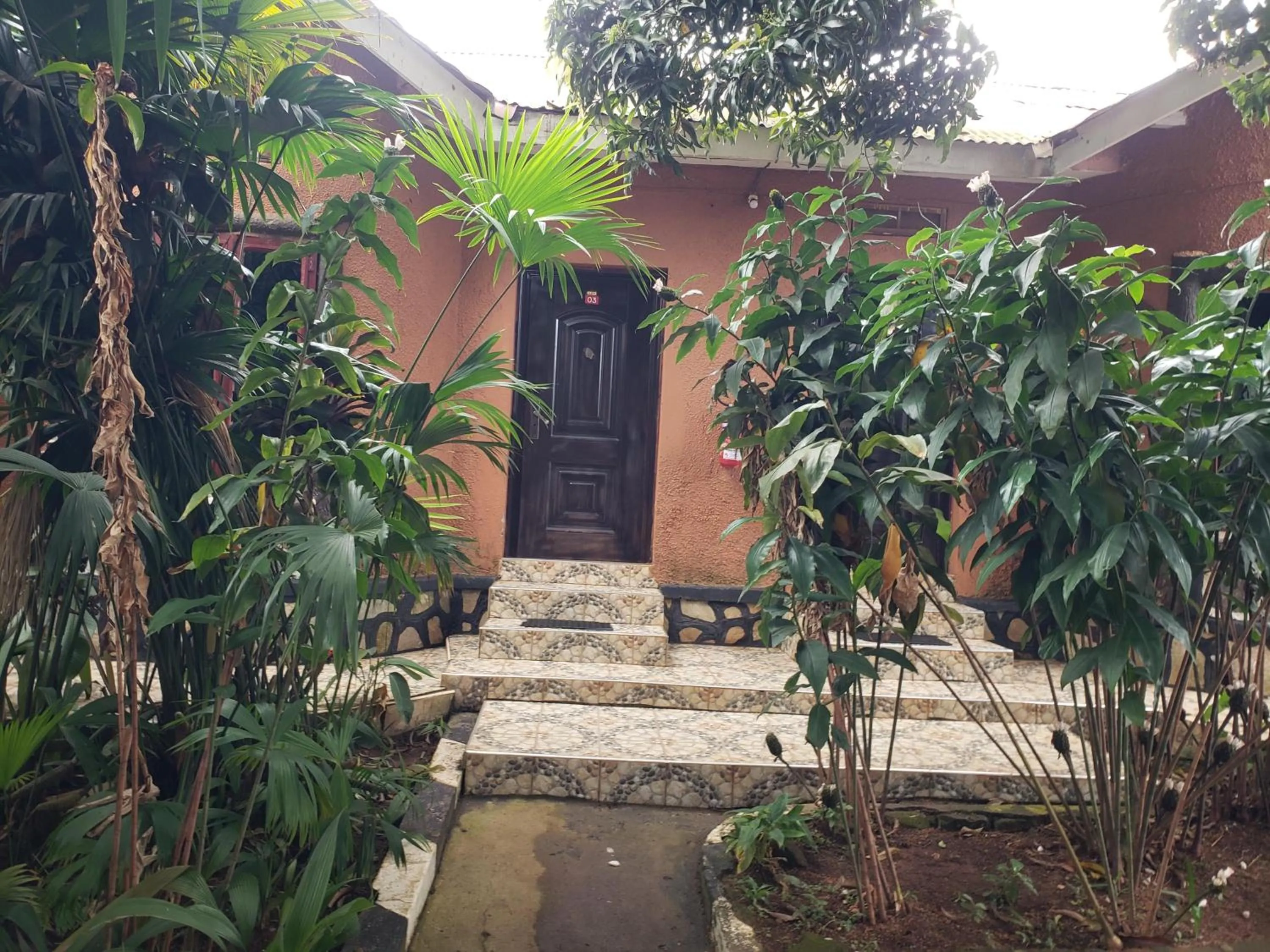 Day in Gorilla African Guest House