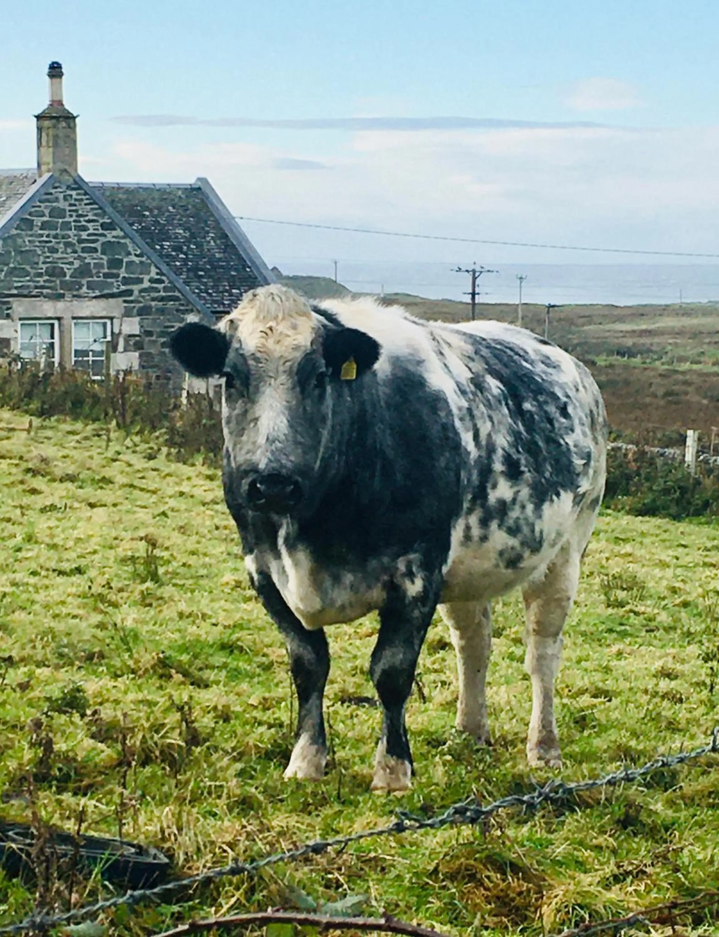 Natural landscape in Burnside Lodge