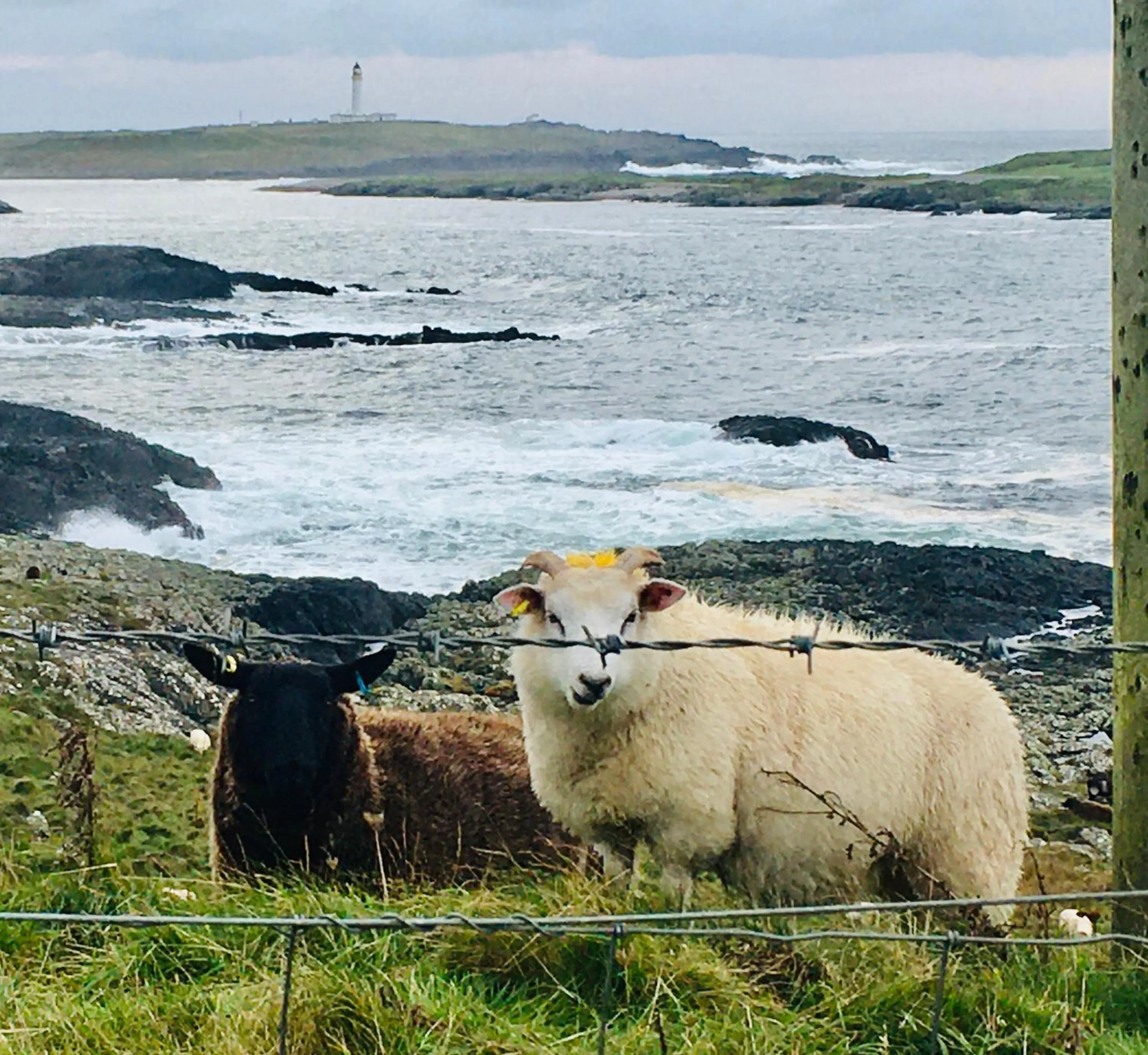 Natural landscape in Burnside Lodge