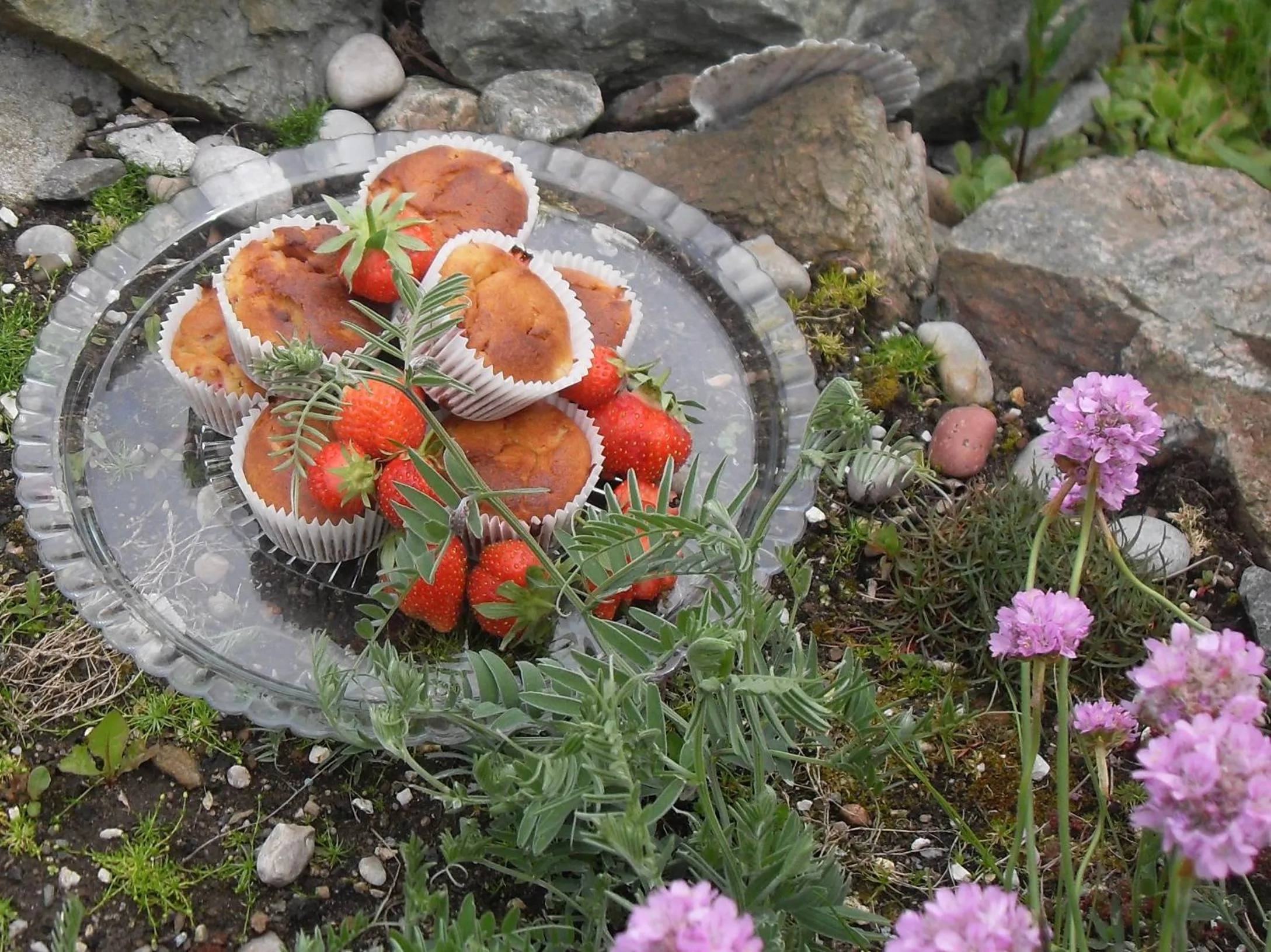 Continental breakfast in Burnside Lodge