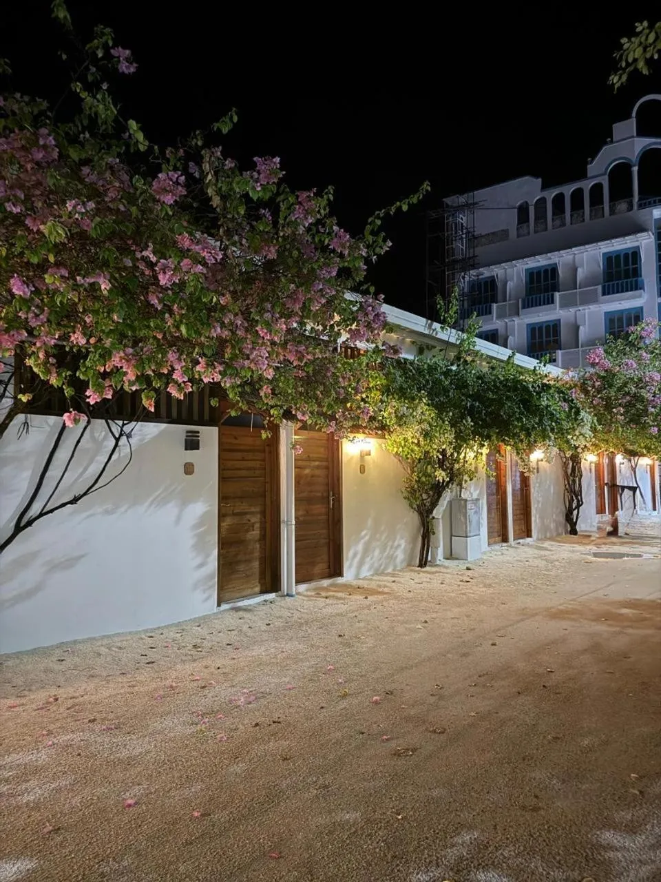 Property building in Navaya Dhiffushi