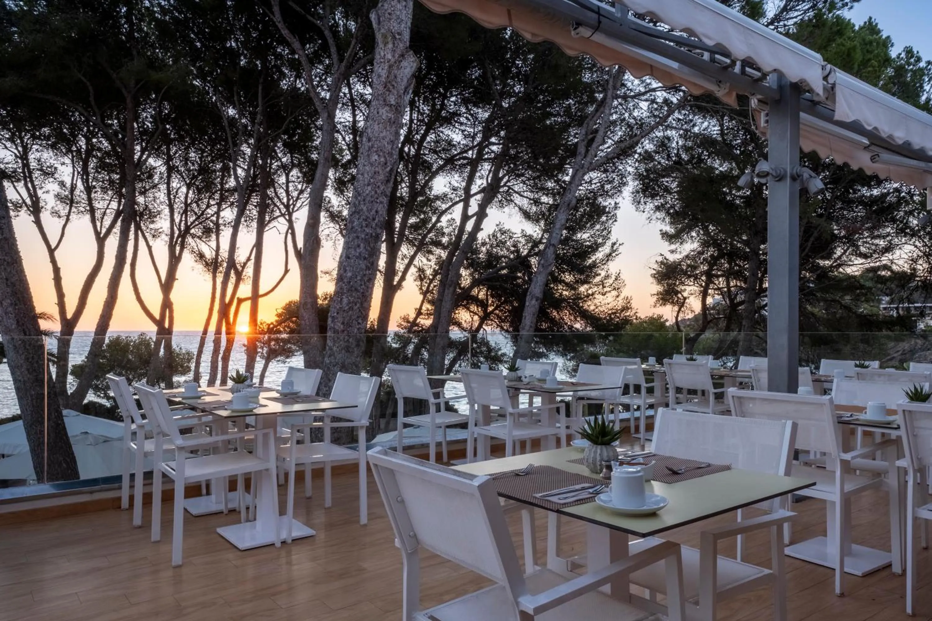 Restaurant/places to eat in Iberostar Waves Pinos Park