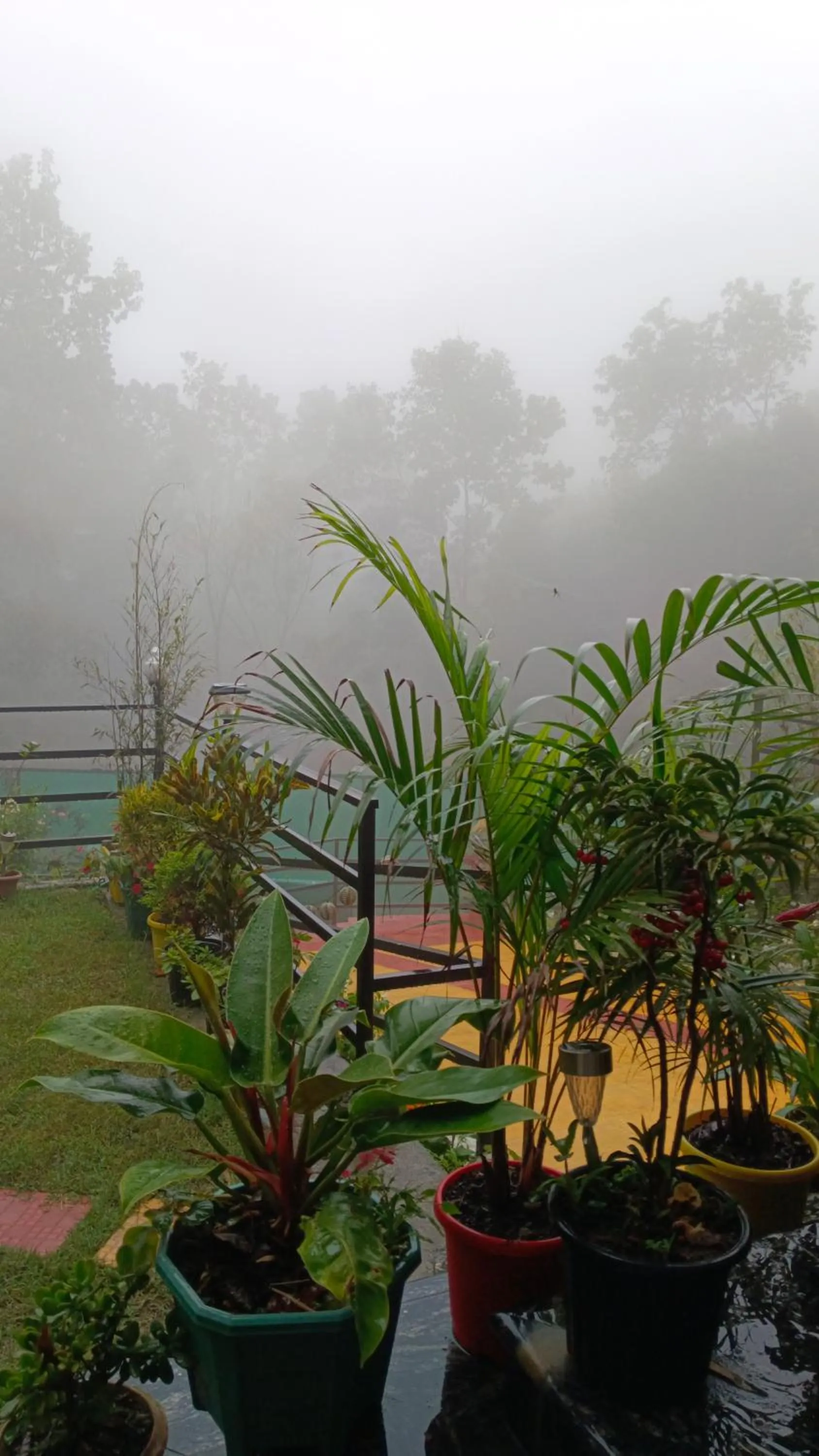 The Grand Kalimpong