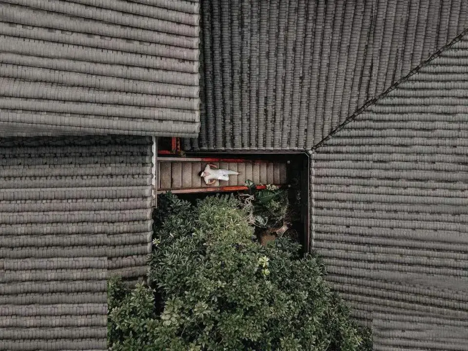 Ancient Charm Inn Chengdu Ancient Charm Inn Chengdu