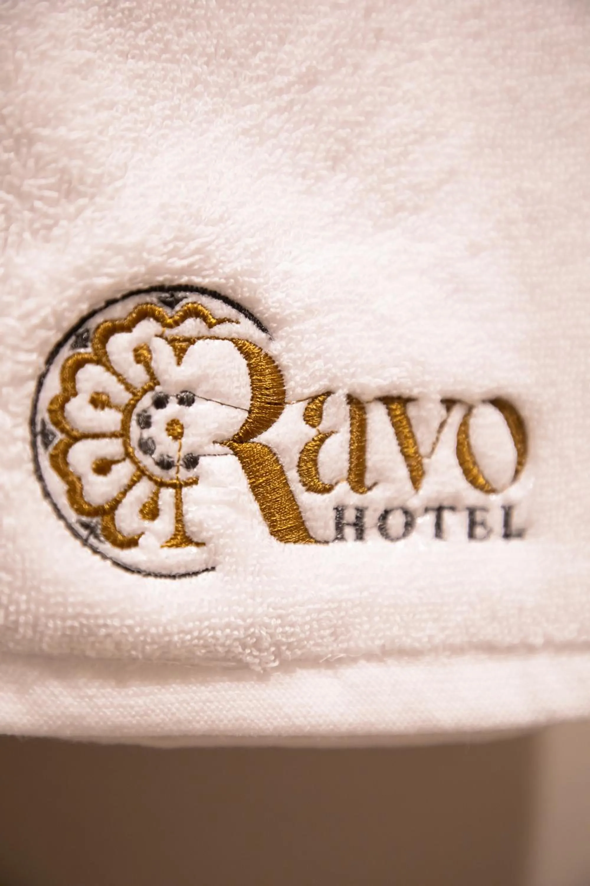 Property logo or sign in Ravo Hotel