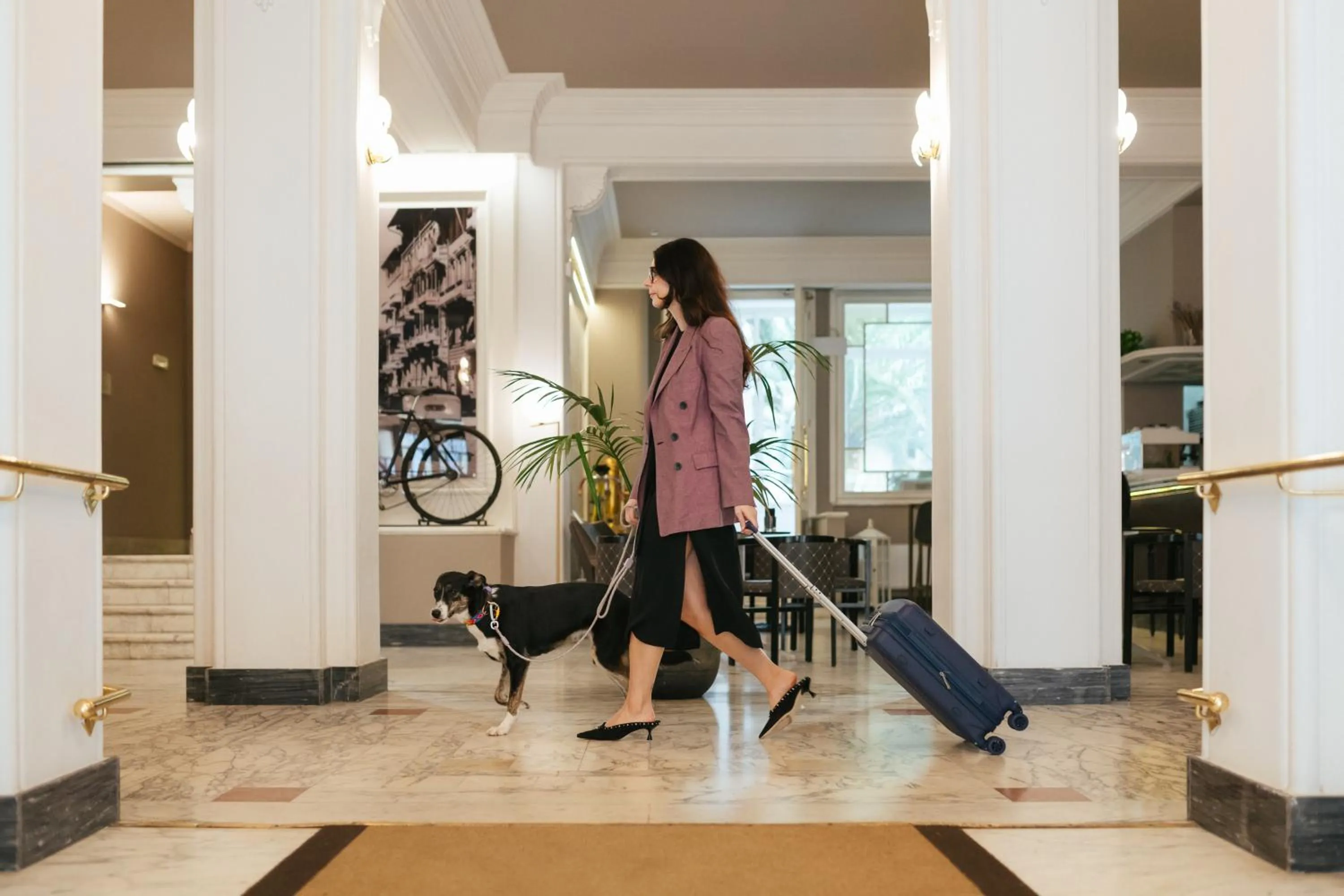 Animals in Hotel Residence Esplanade