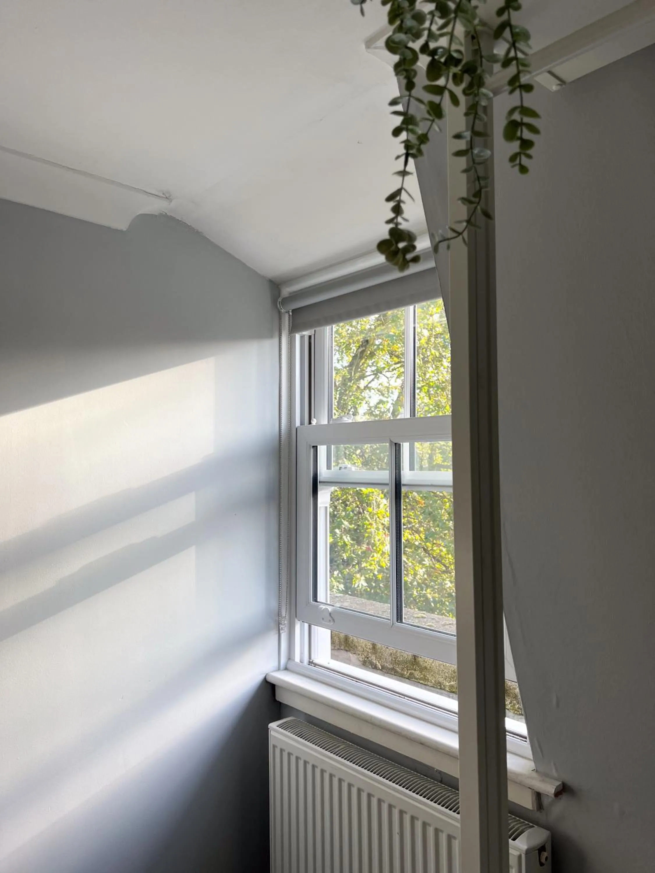 Bedroom in Prime Backpackers Angel