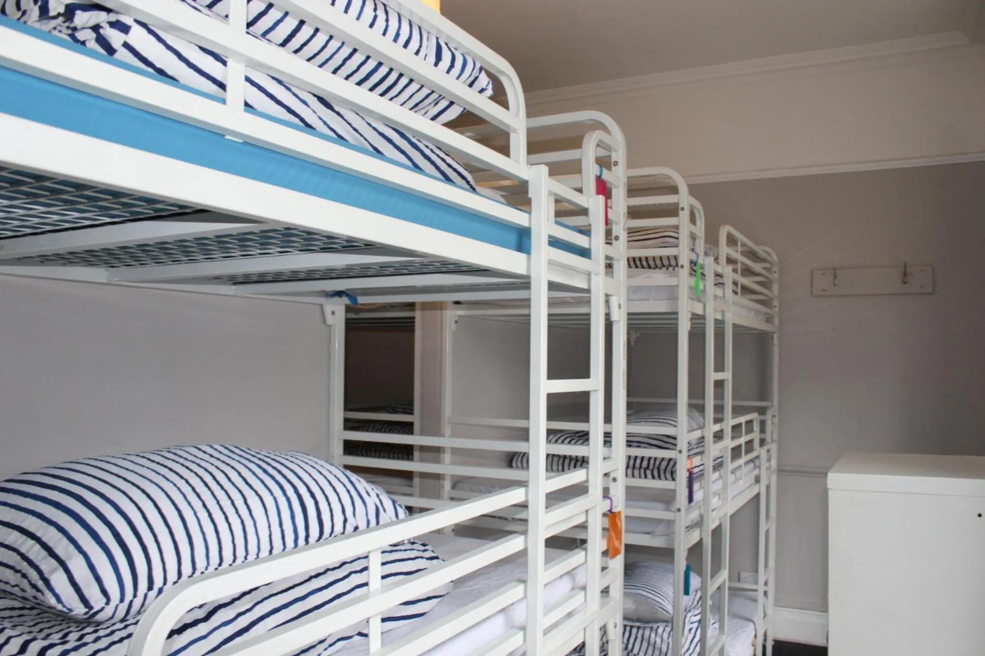 bunk bed, Bed in Prime Backpackers Angel
