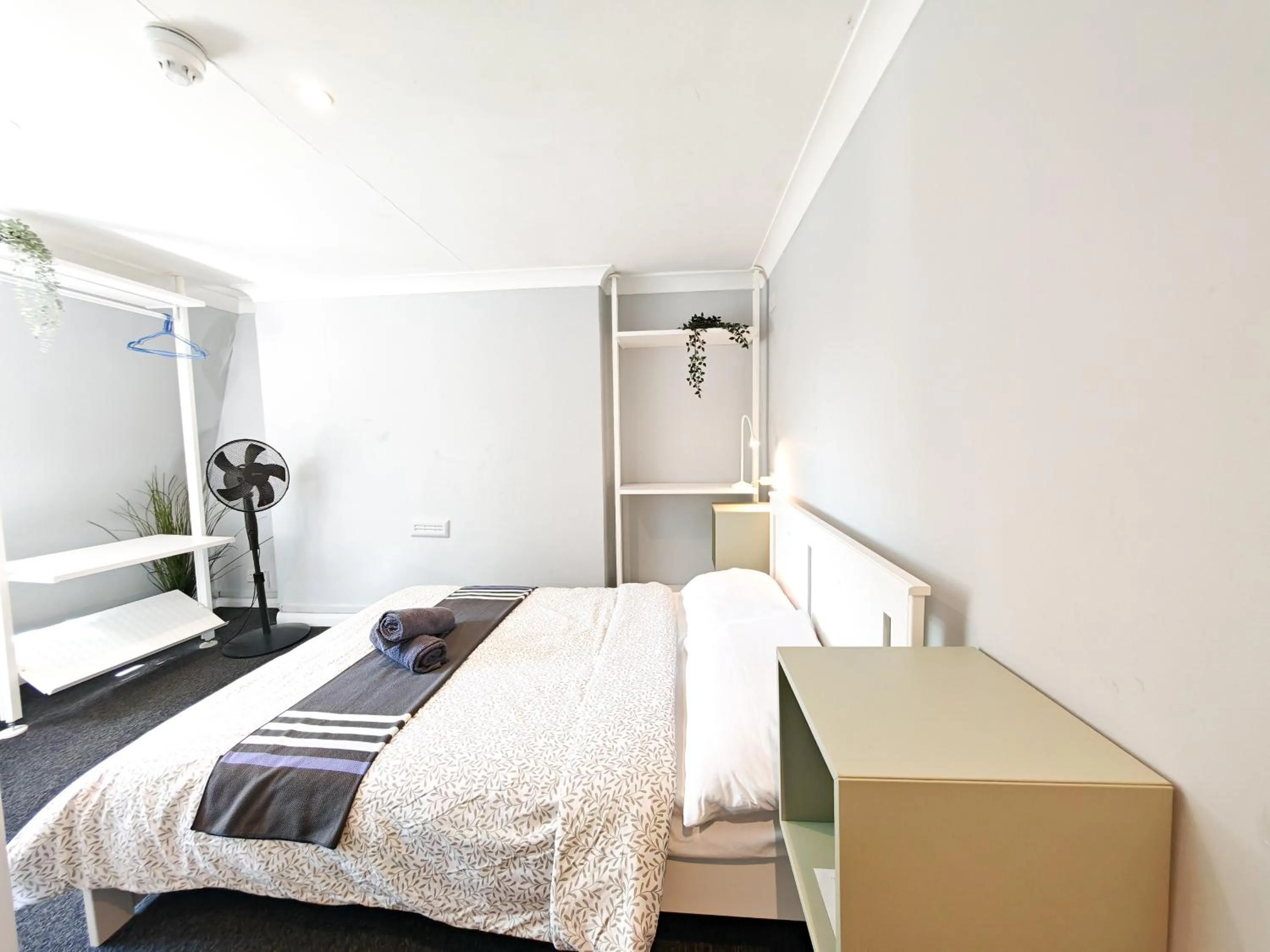 Bed in Prime Backpackers Angel