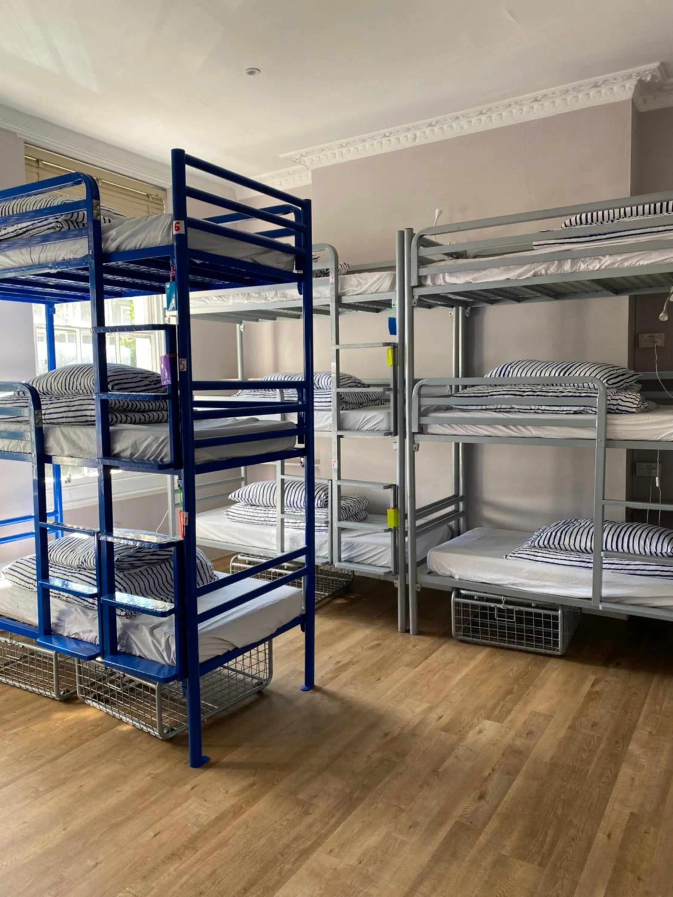 bunk bed, Bed in Prime Backpackers Angel