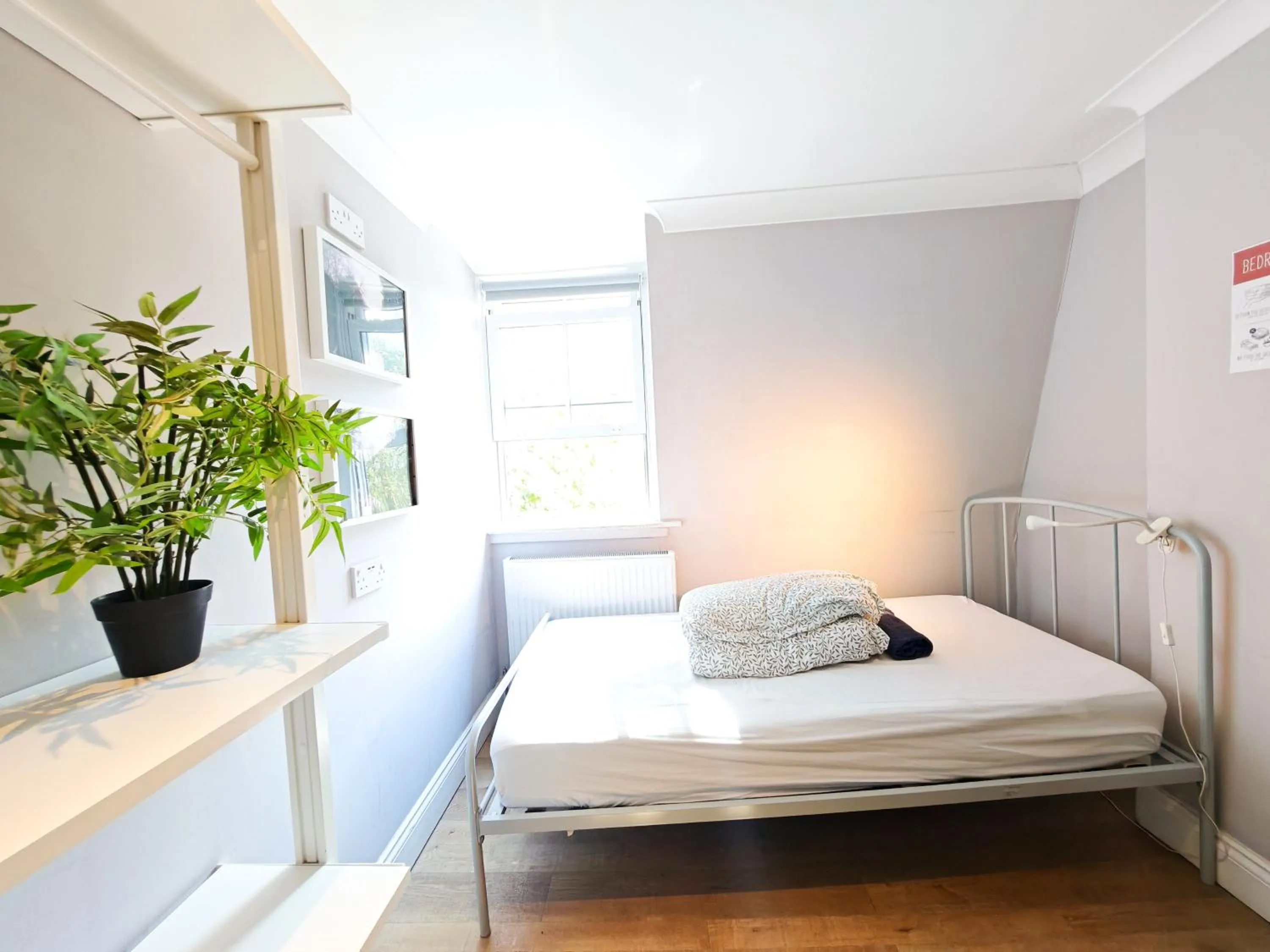 Bed in Prime Backpackers Angel