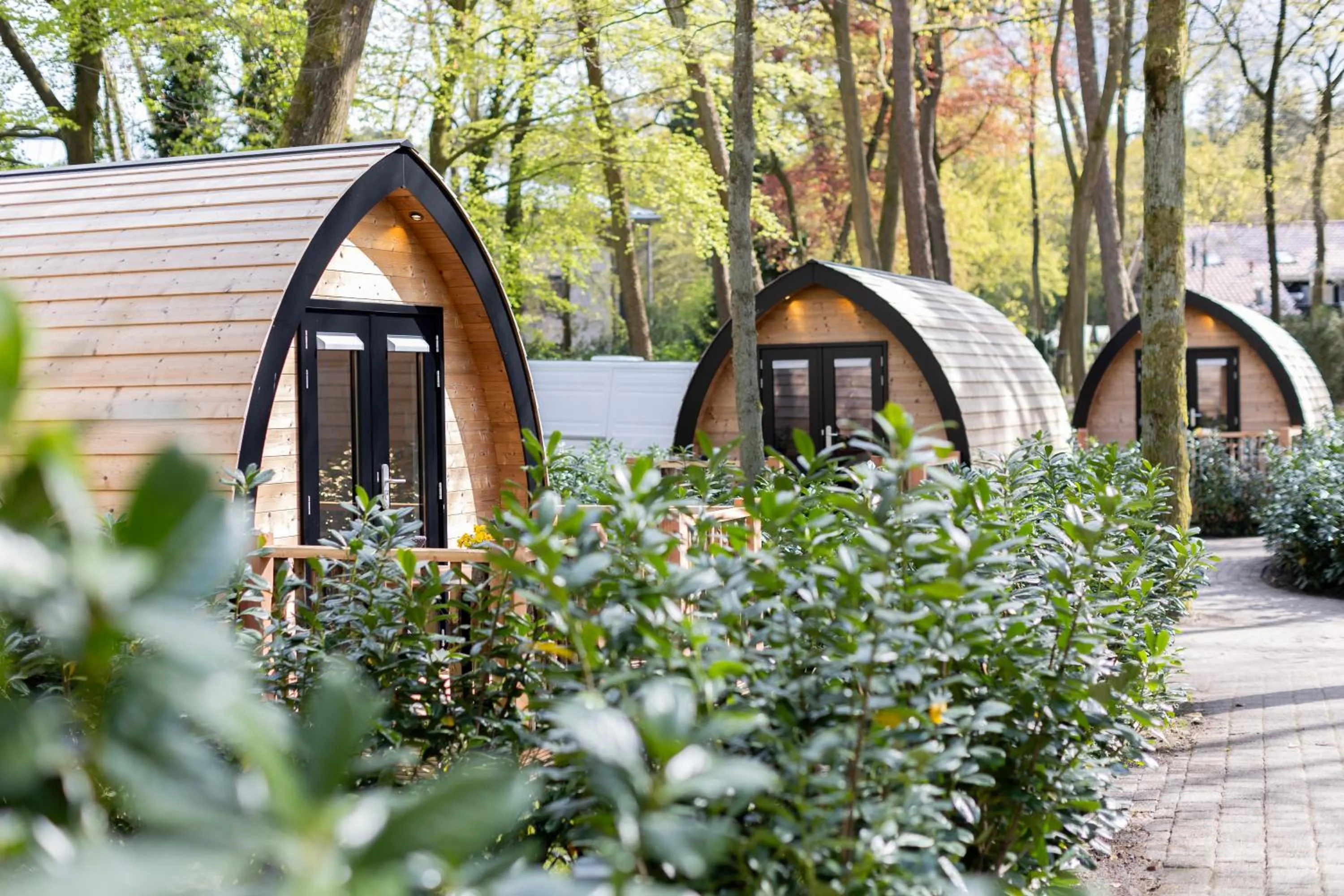 Natural landscape in Hotel de Hoeve van Nunspeet