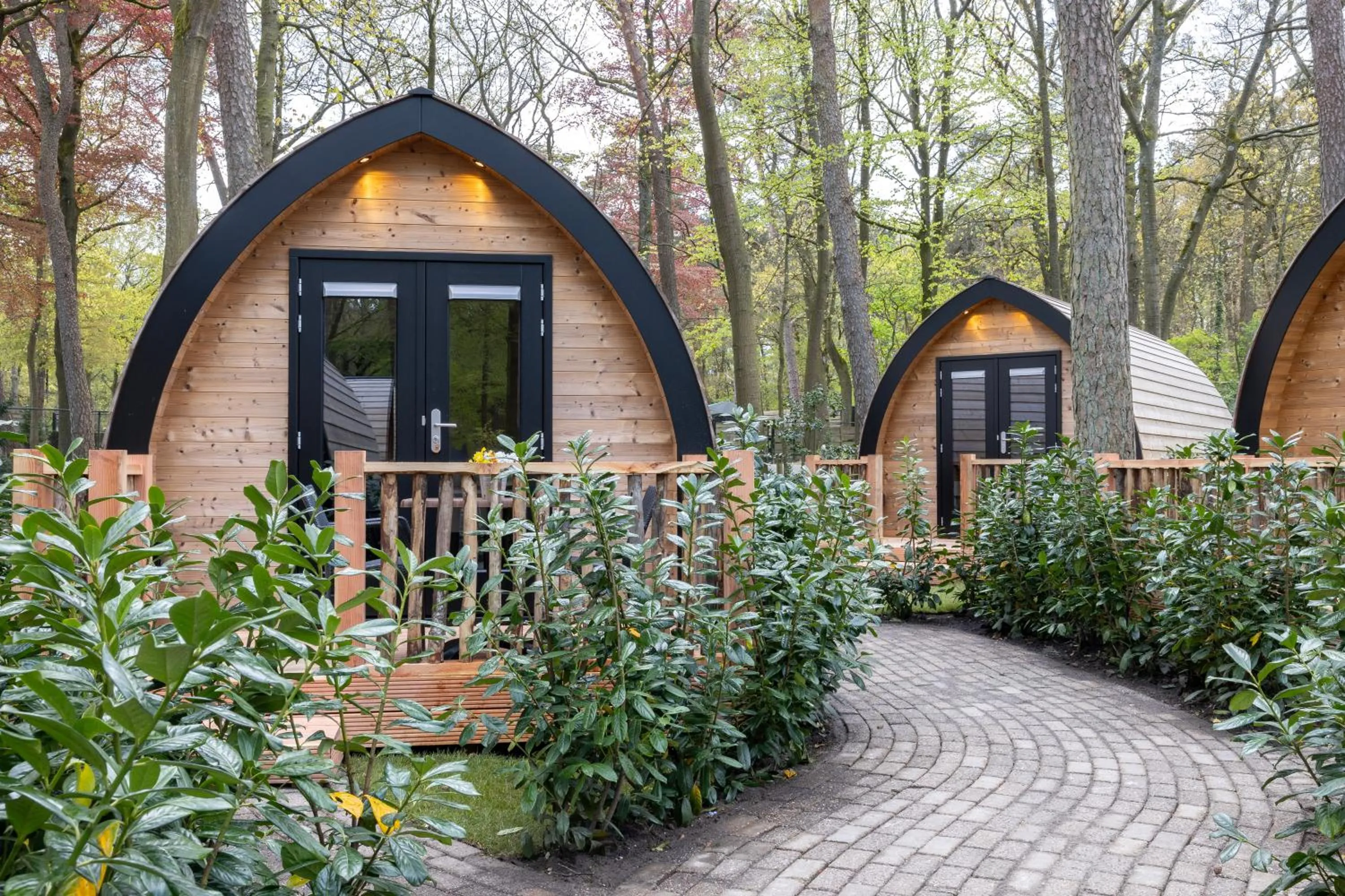 Natural landscape in Hotel de Hoeve van Nunspeet