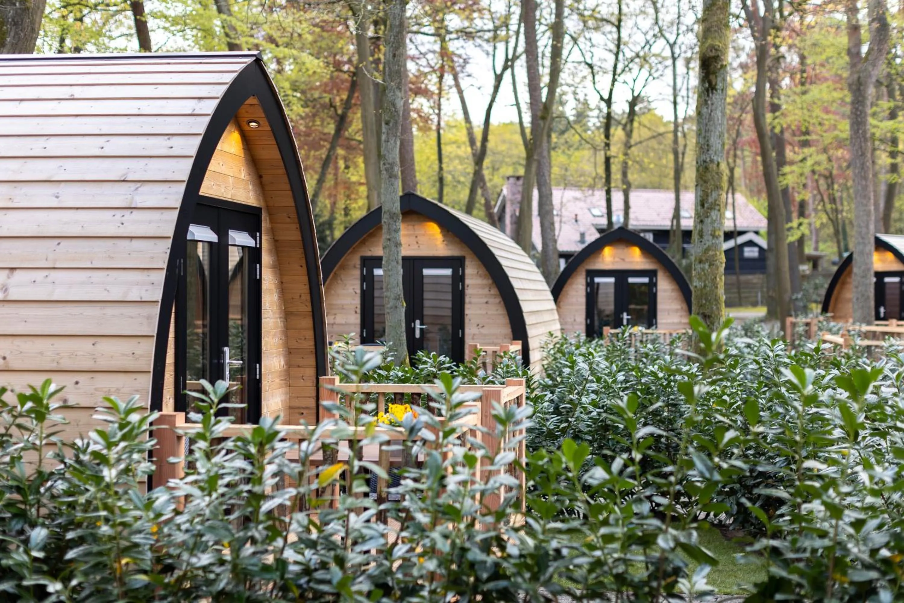 Natural landscape in Hotel de Hoeve van Nunspeet