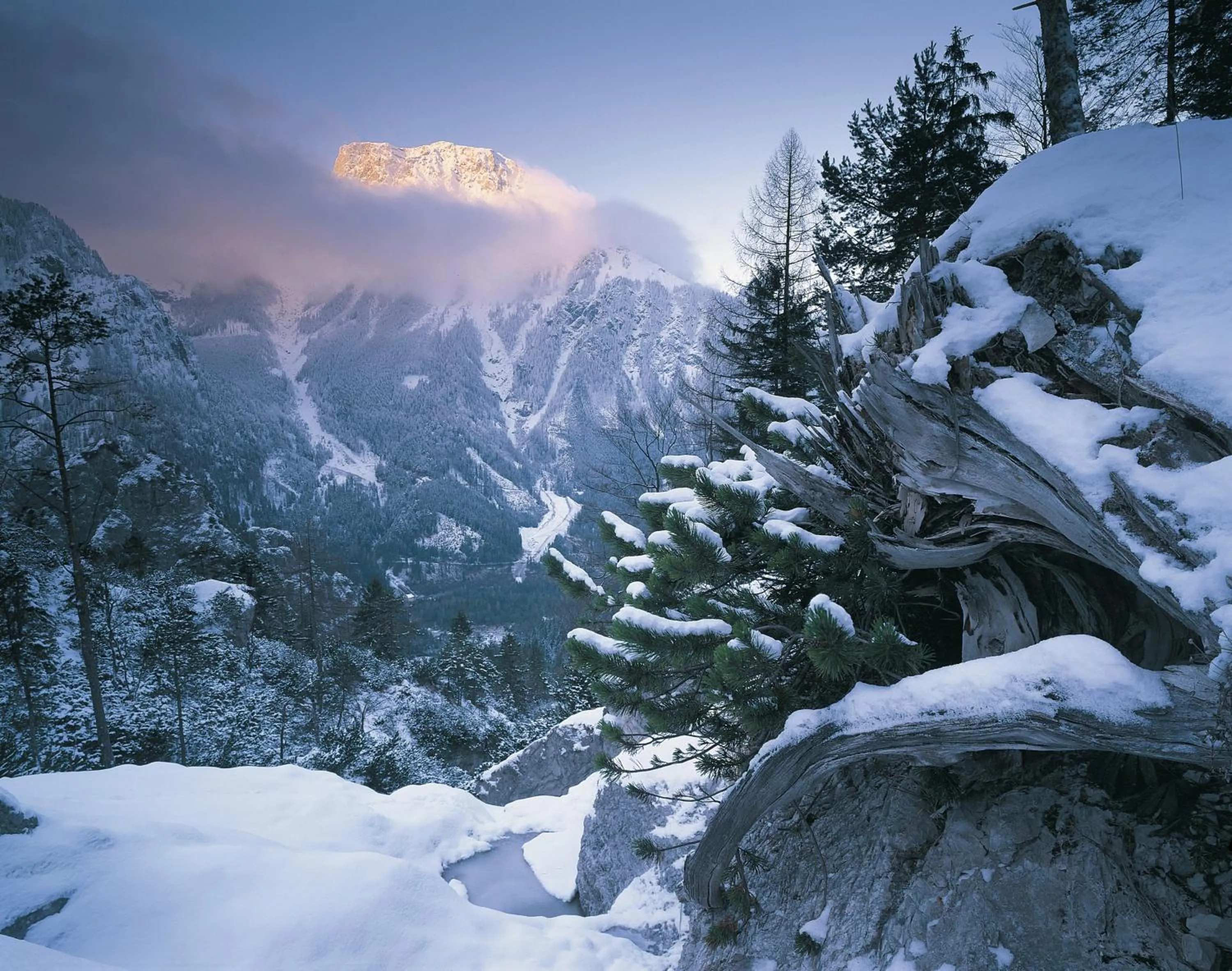 Area and facilities in Gasthof Dorfwirt