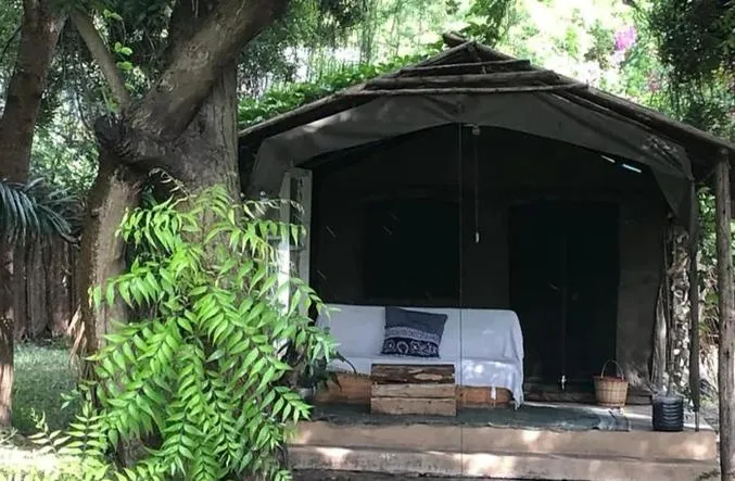 Firefly Boutique Lodge