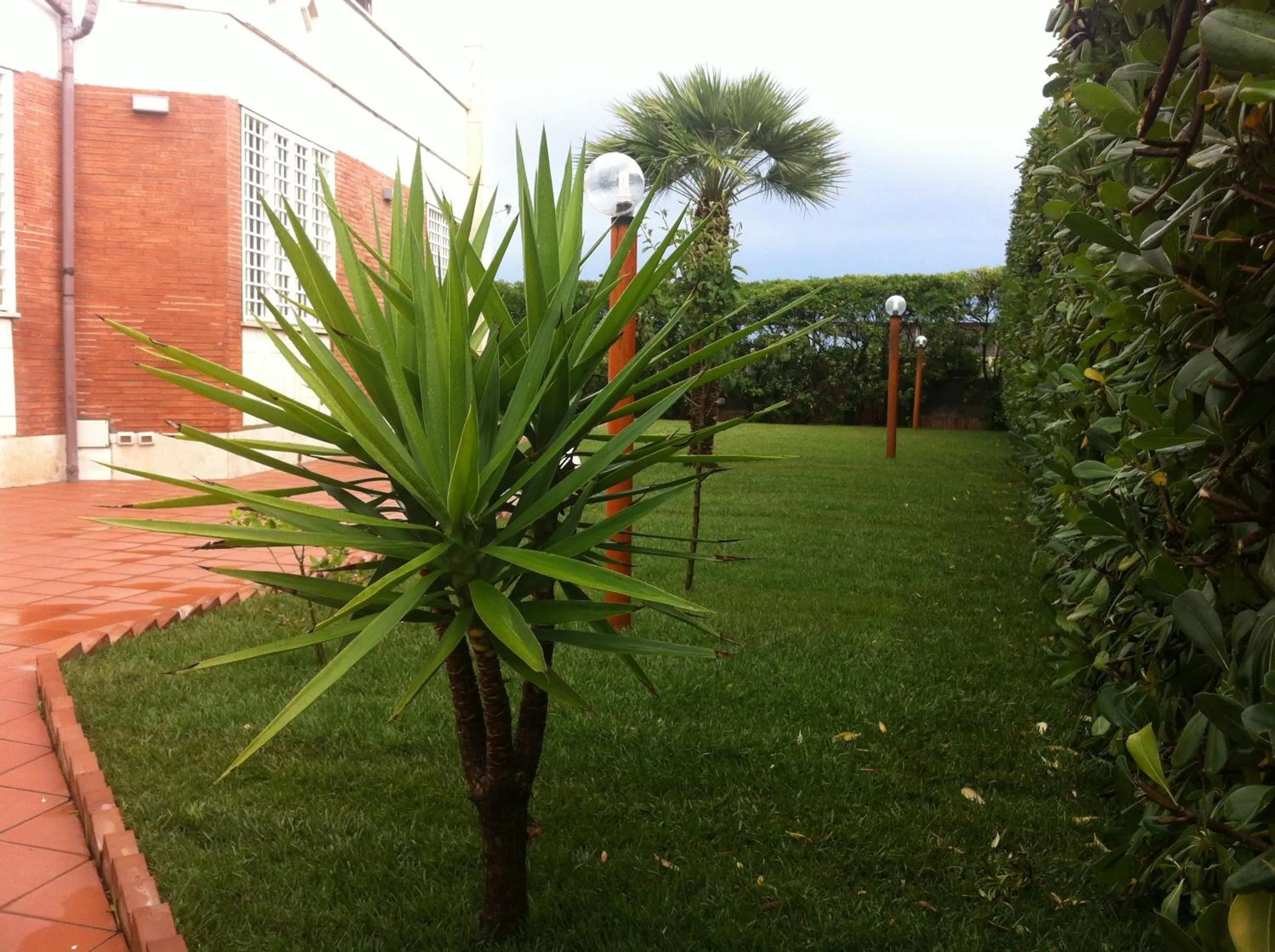 Garden in Villino dei Coralli