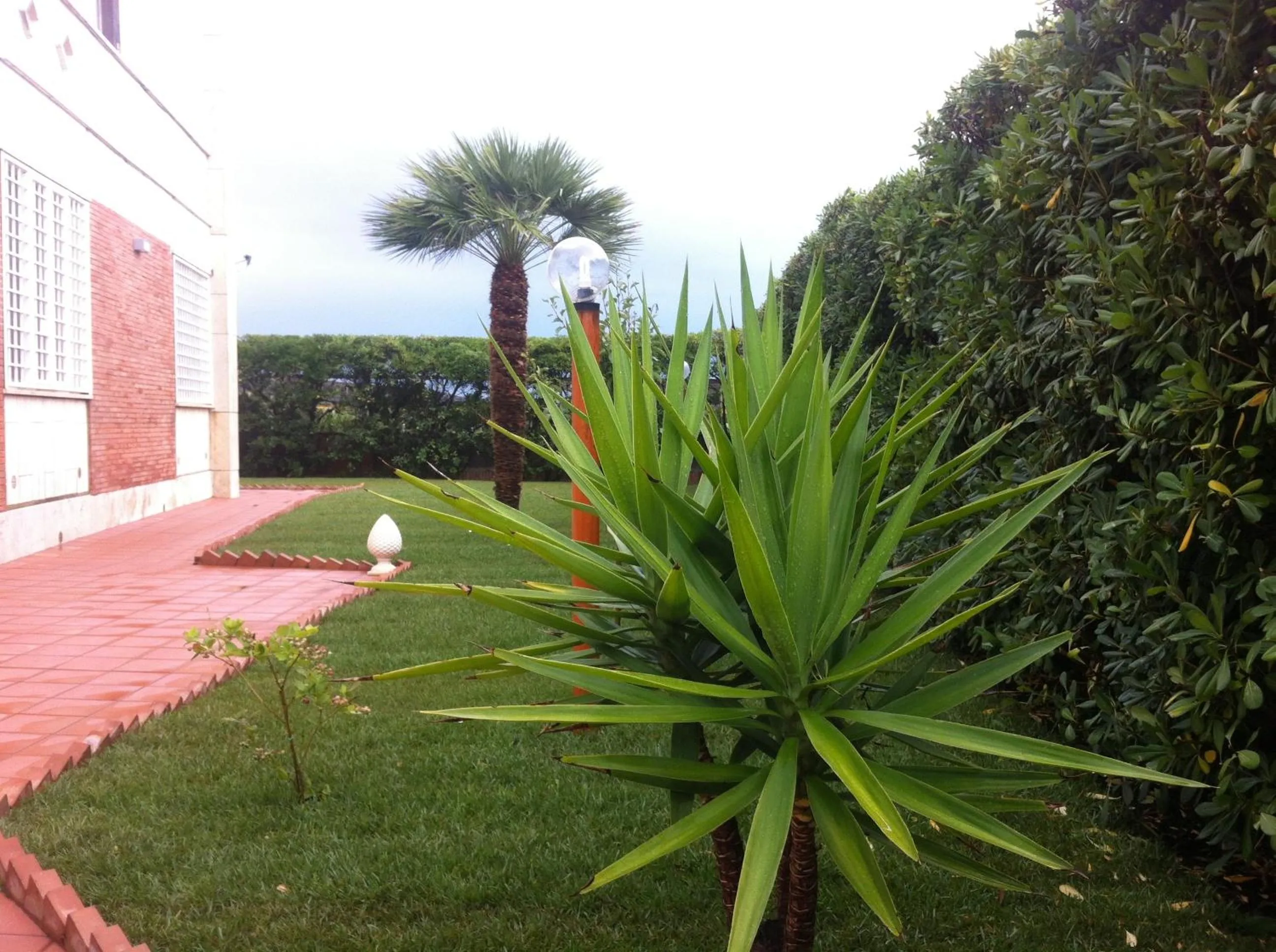 Garden in Villino dei Coralli