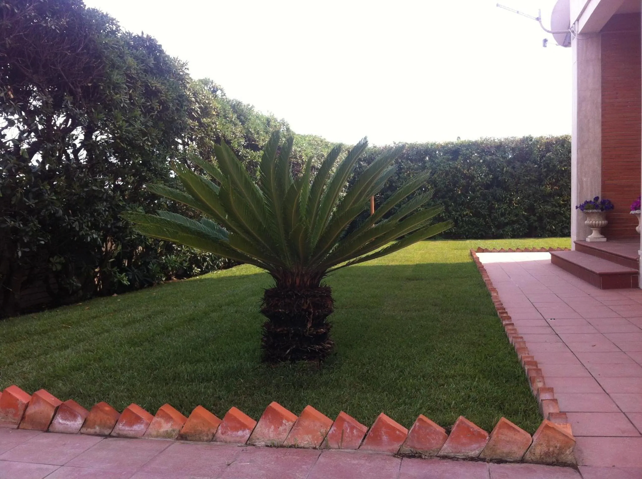 Garden in Villino dei Coralli