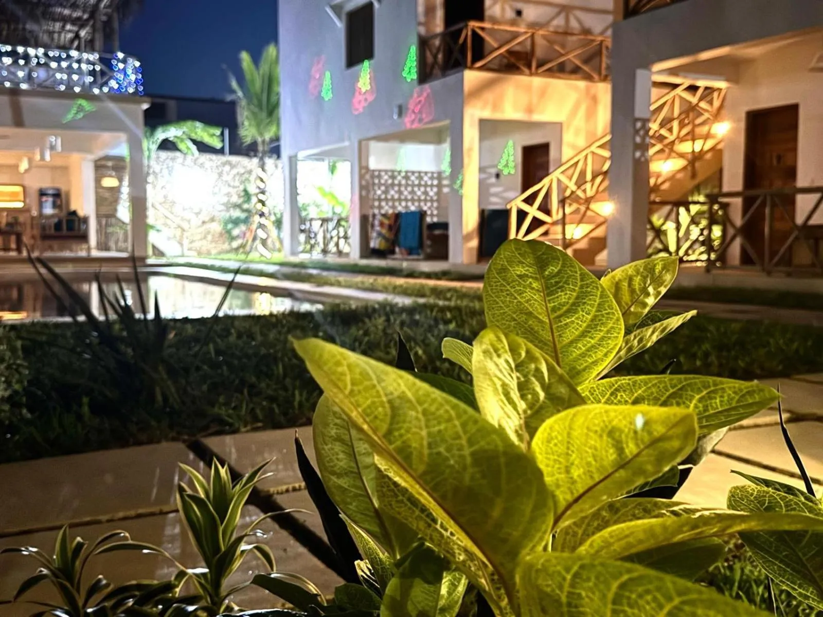 Night in TATU INN Boutique Hotel WATAMU