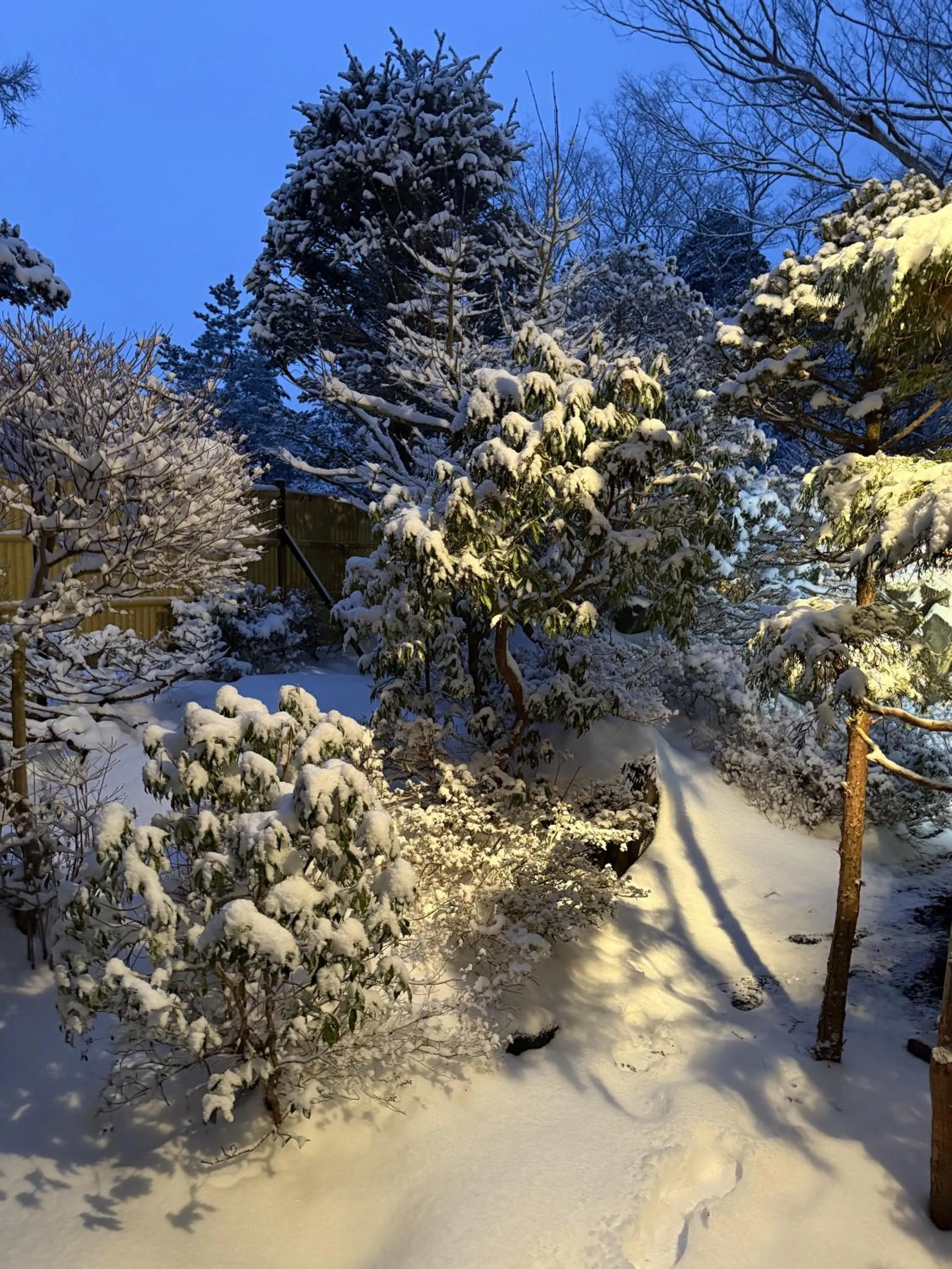 Natural landscape in Sansui Resorts Yamanakako