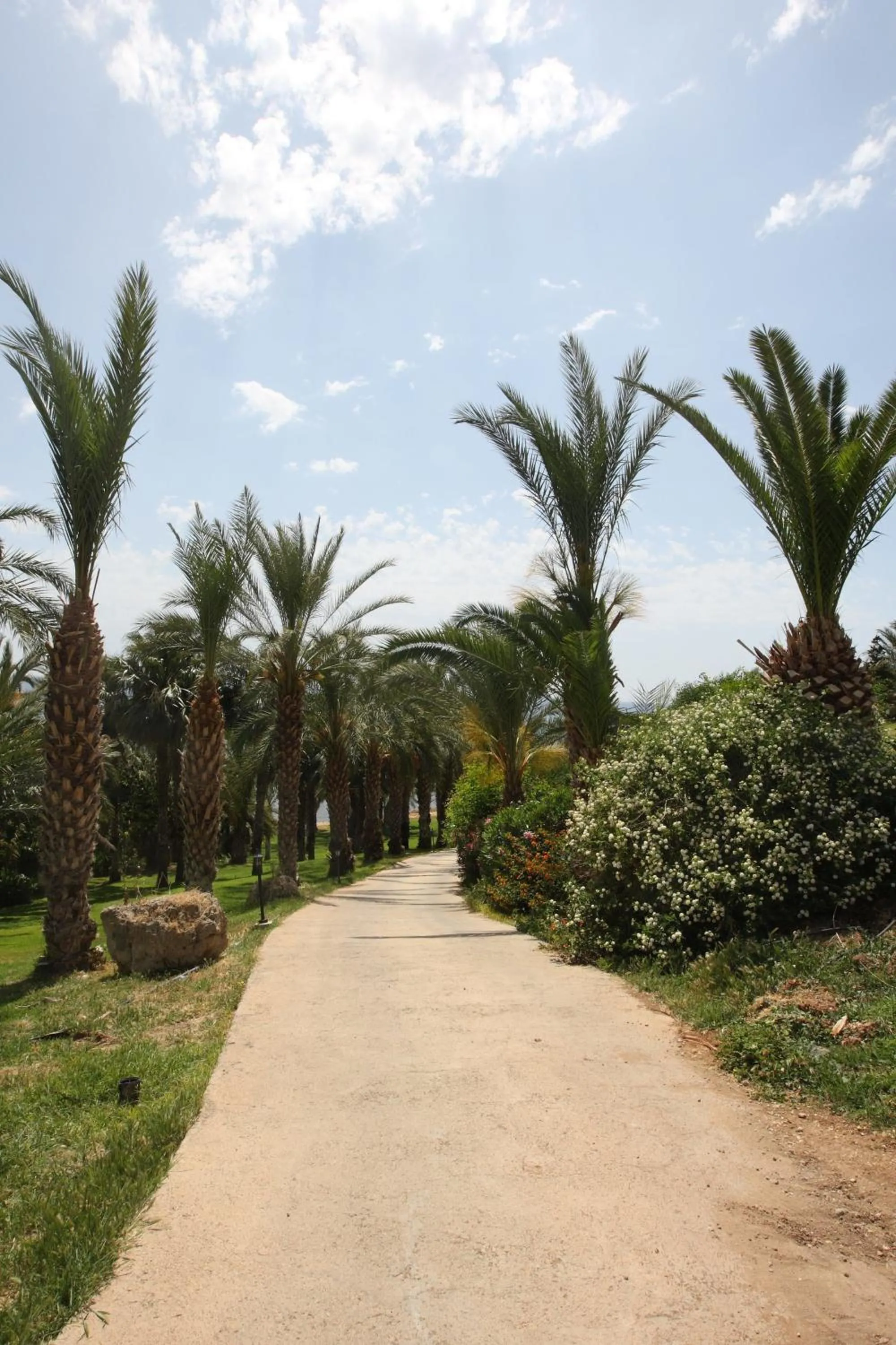 Garden in Ascos Coral Beach Hotel