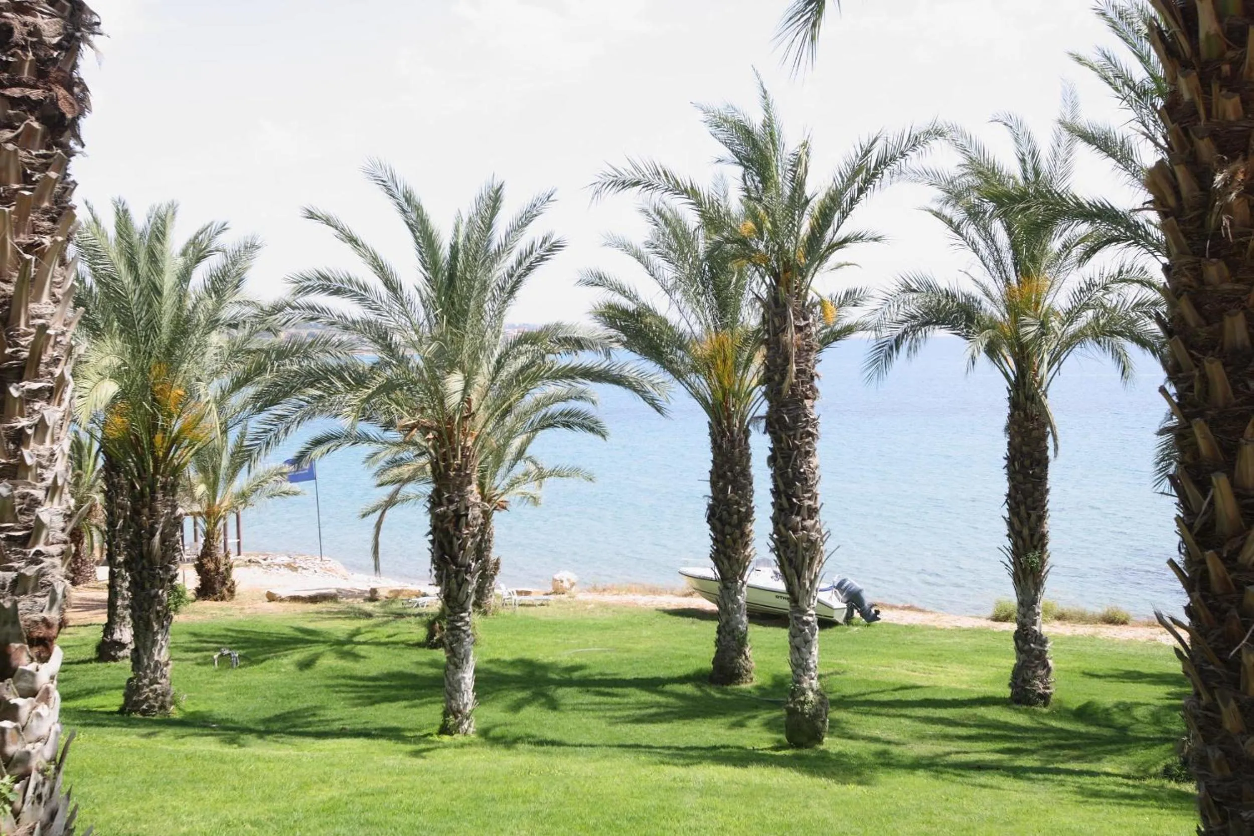 Garden in Ascos Coral Beach Hotel