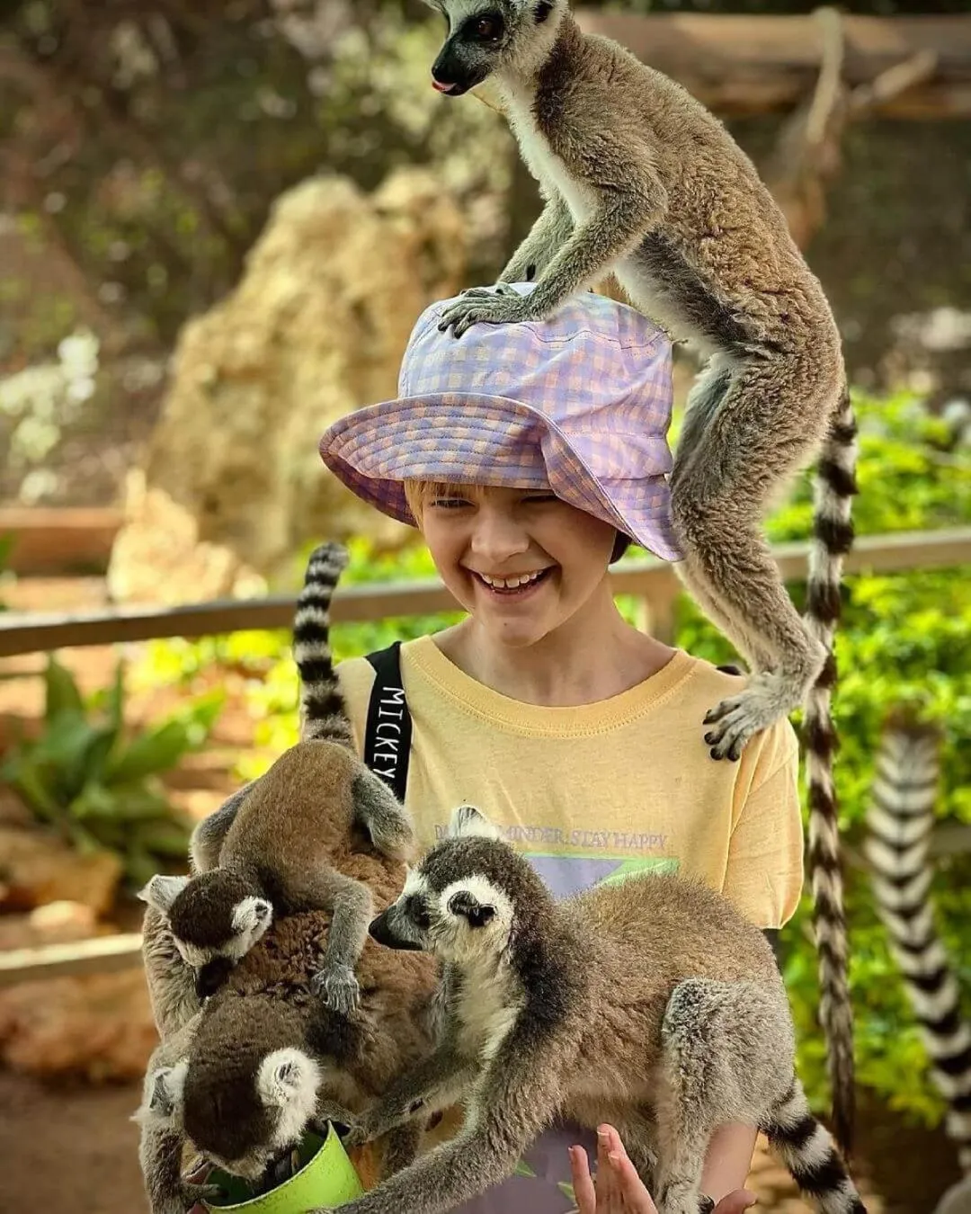 Ascos Coral Beach Hotel