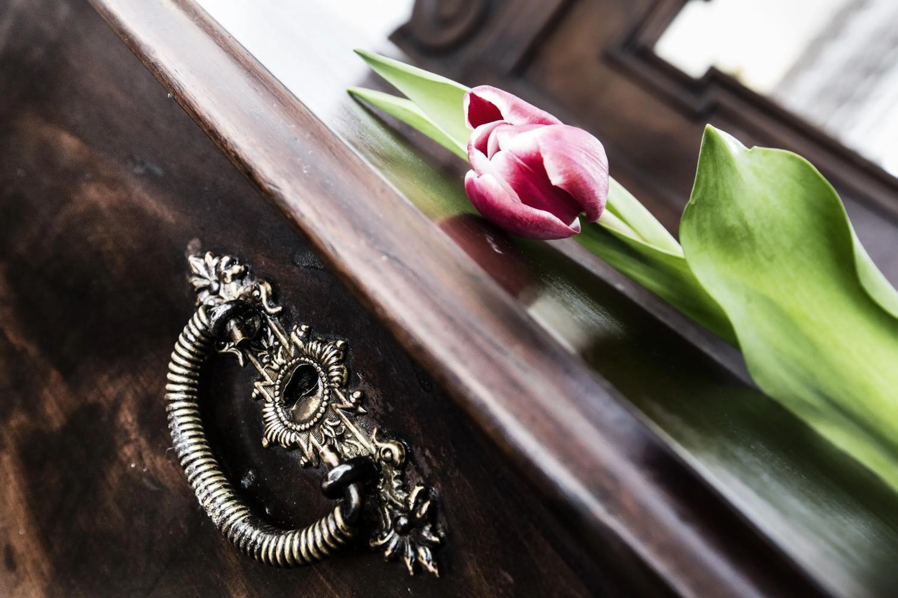 Other in Casa Din Bran - Inn Center