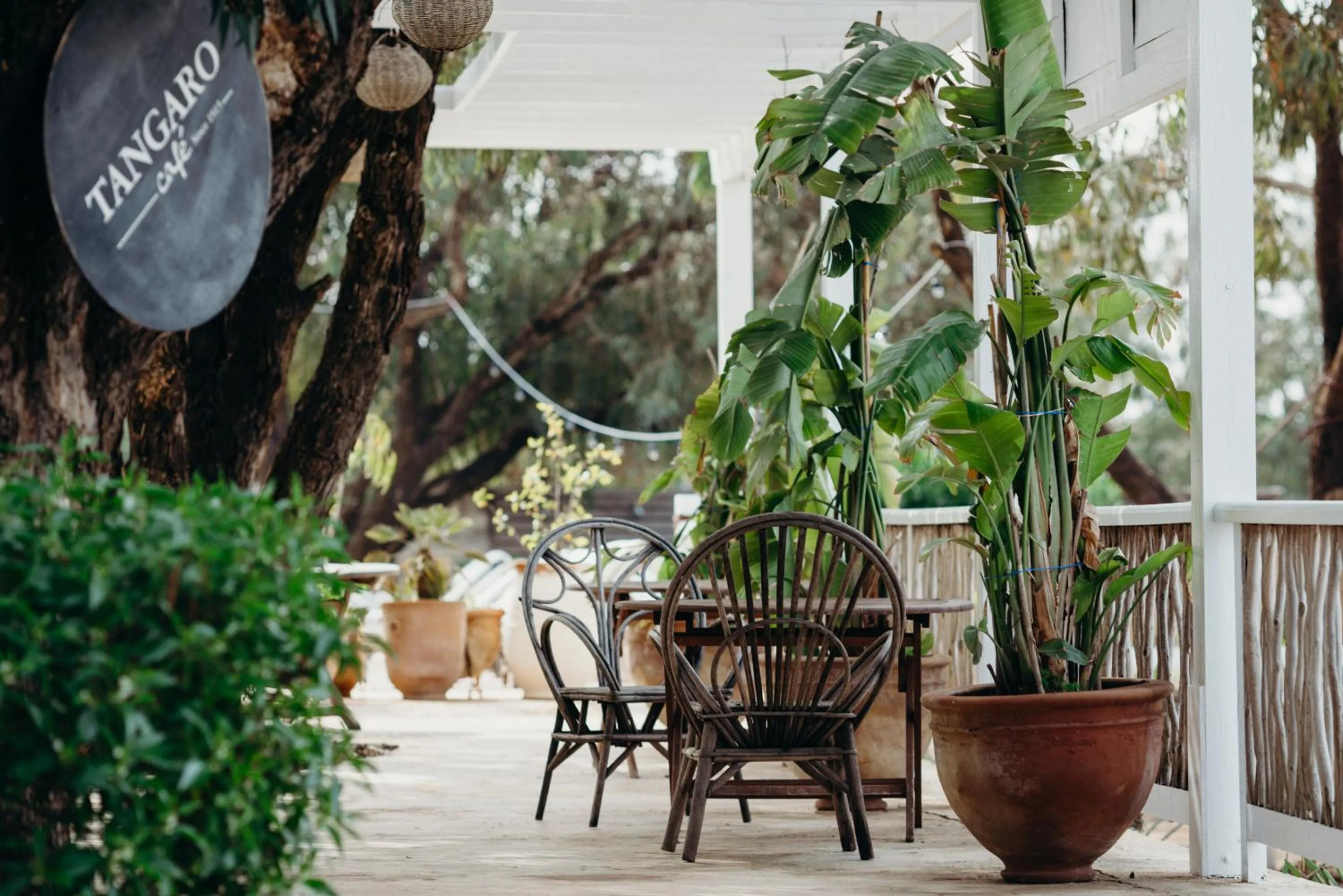 View (from property/room) in Tangaro Hip Hotel & Spa