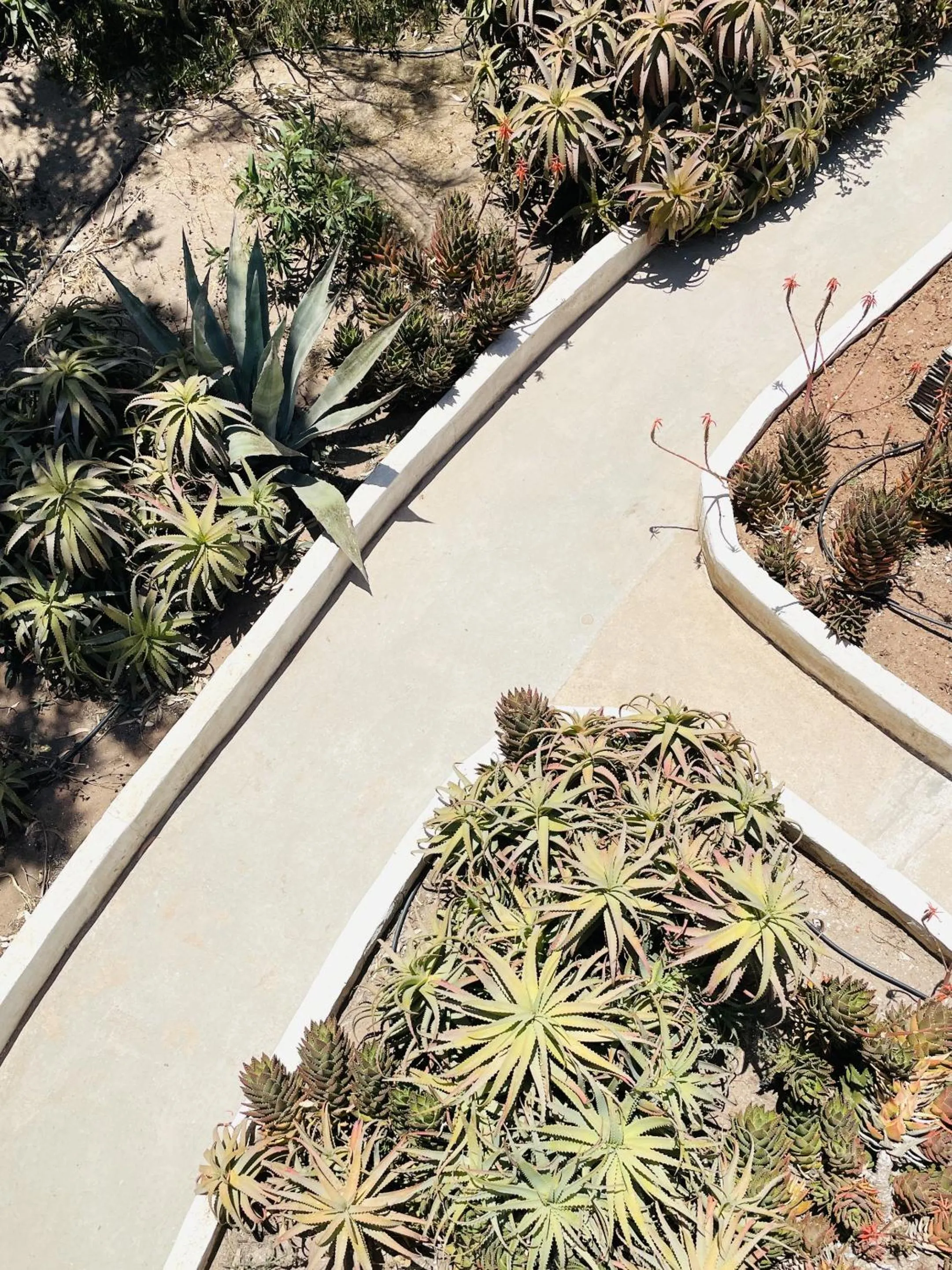 Garden in Tangaro Hip Hotel & Spa