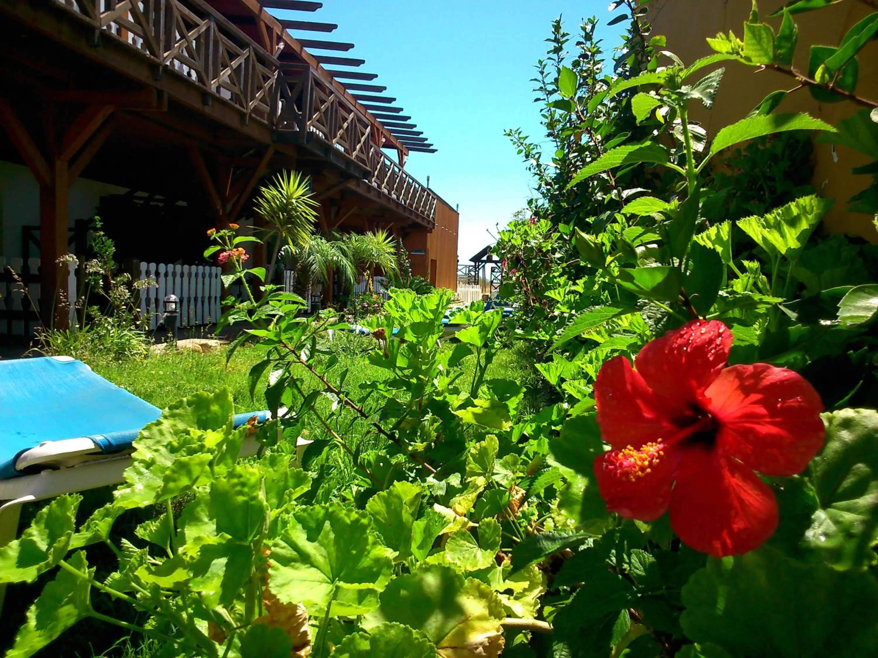 Hostal Playa Mazagon (El Remo)