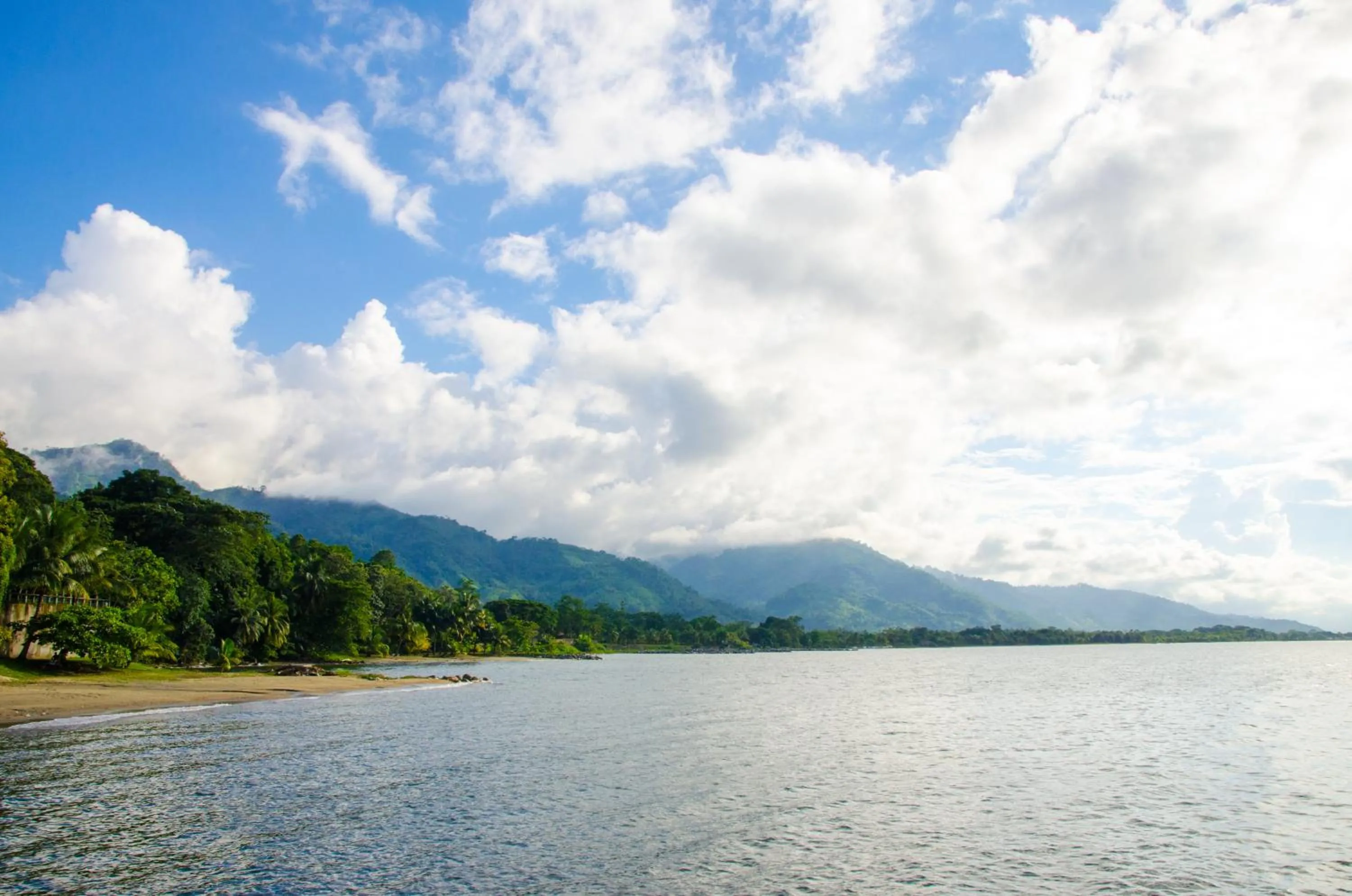 Beach in Paraiso Rainforest and Beach Hotel