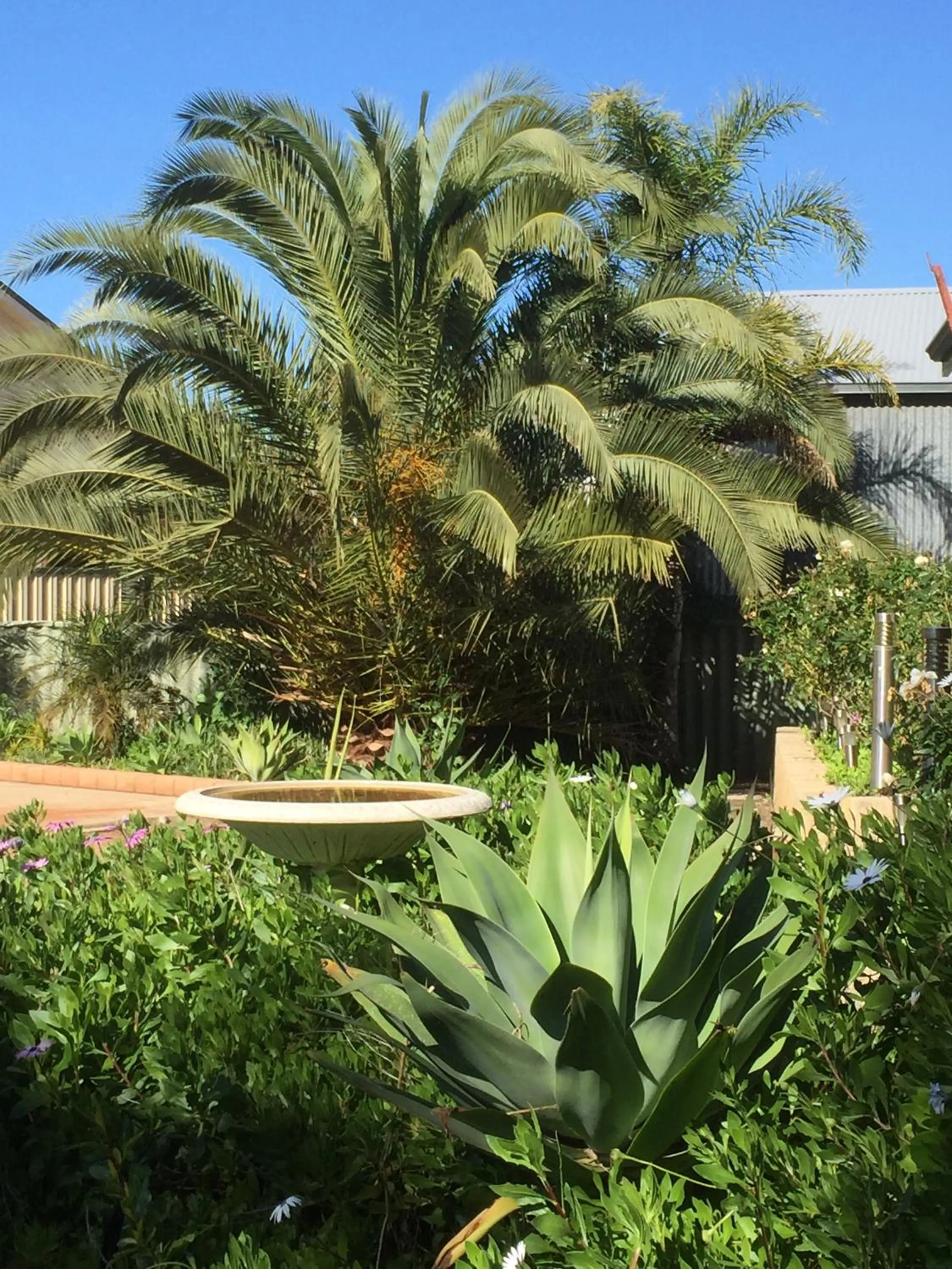 Garden in The Nosh & Nod - Avon Terrace