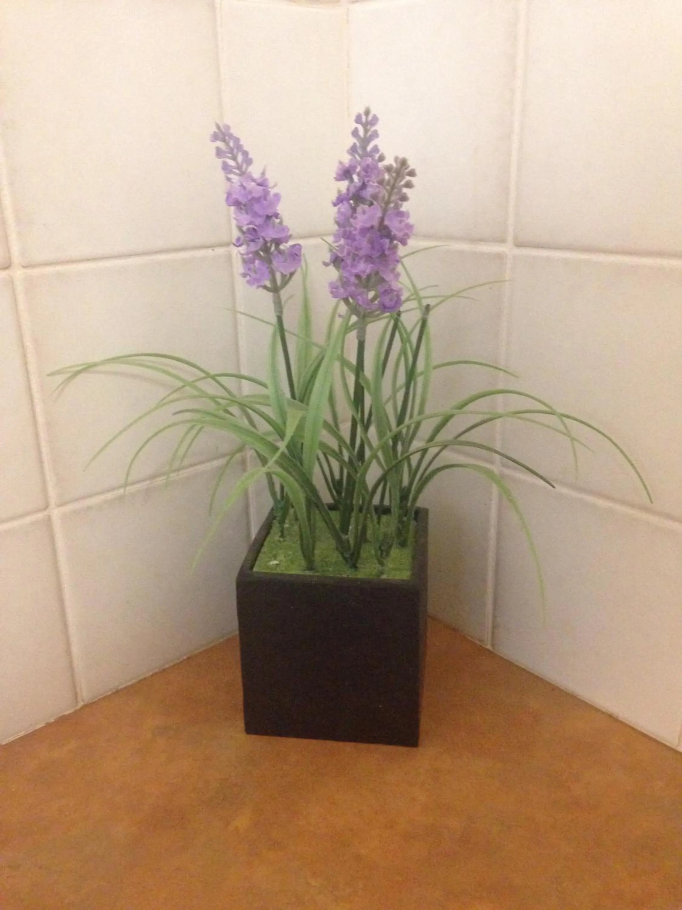 Decorative detail in The Nosh & Nod - Avon Terrace